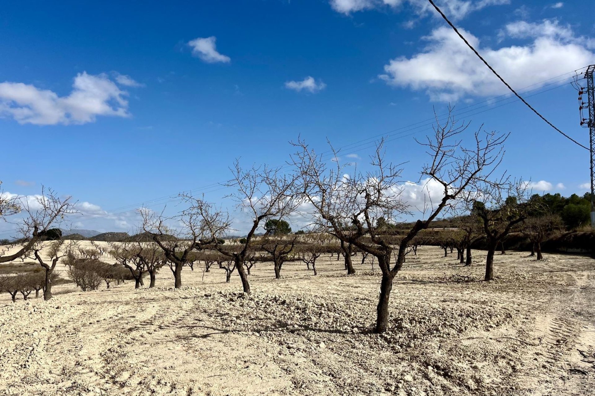 Herverkoop - Plot - Bullas - Costa Calida