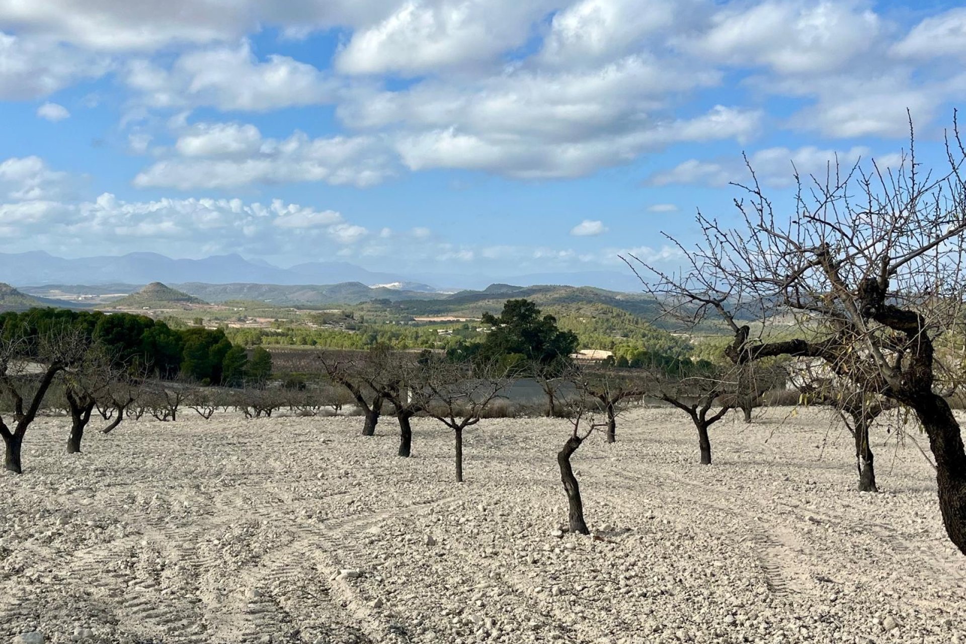 Herverkoop - Plot - Bullas - Costa Calida