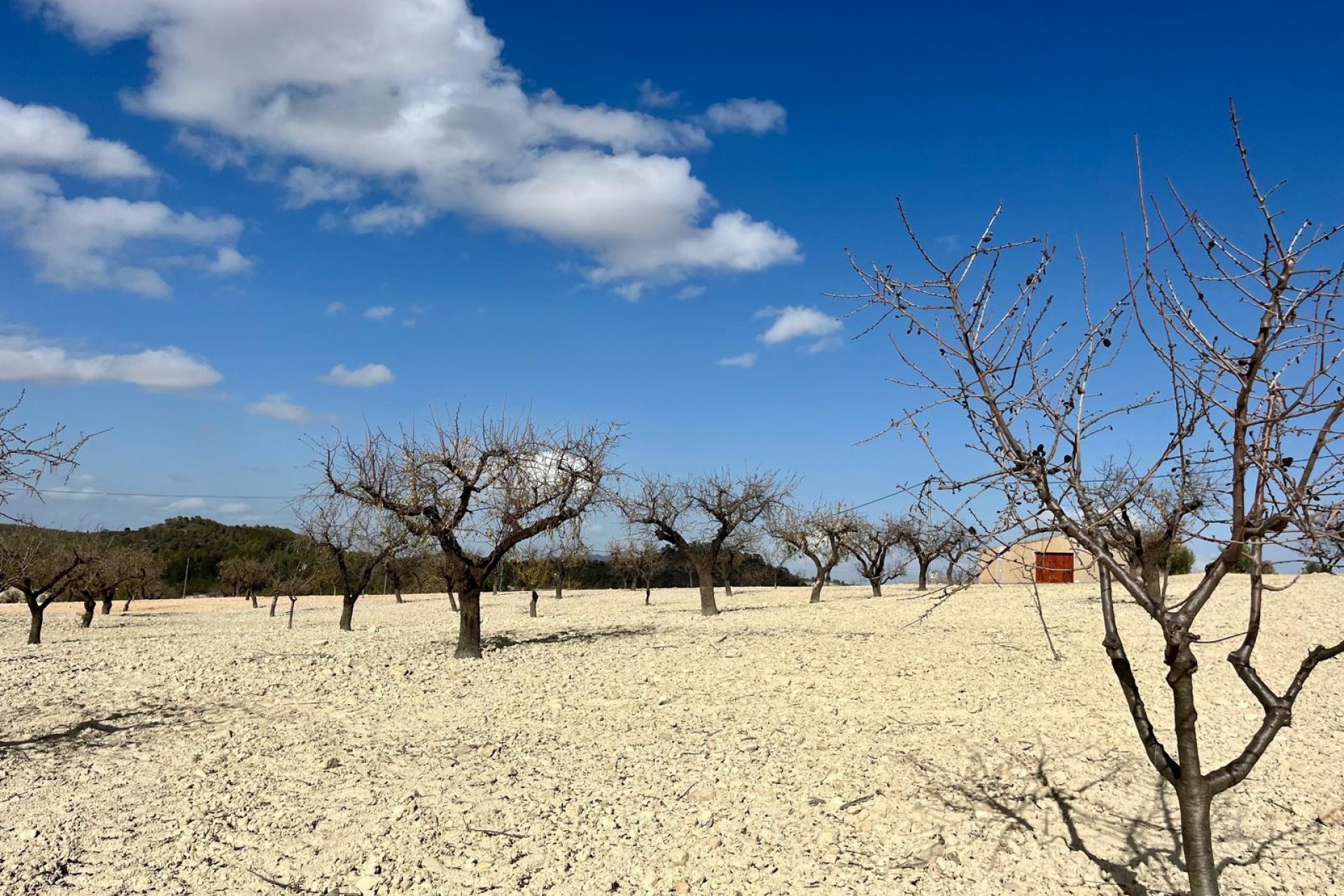 Herverkoop - Plot - Bullas - Costa Calida