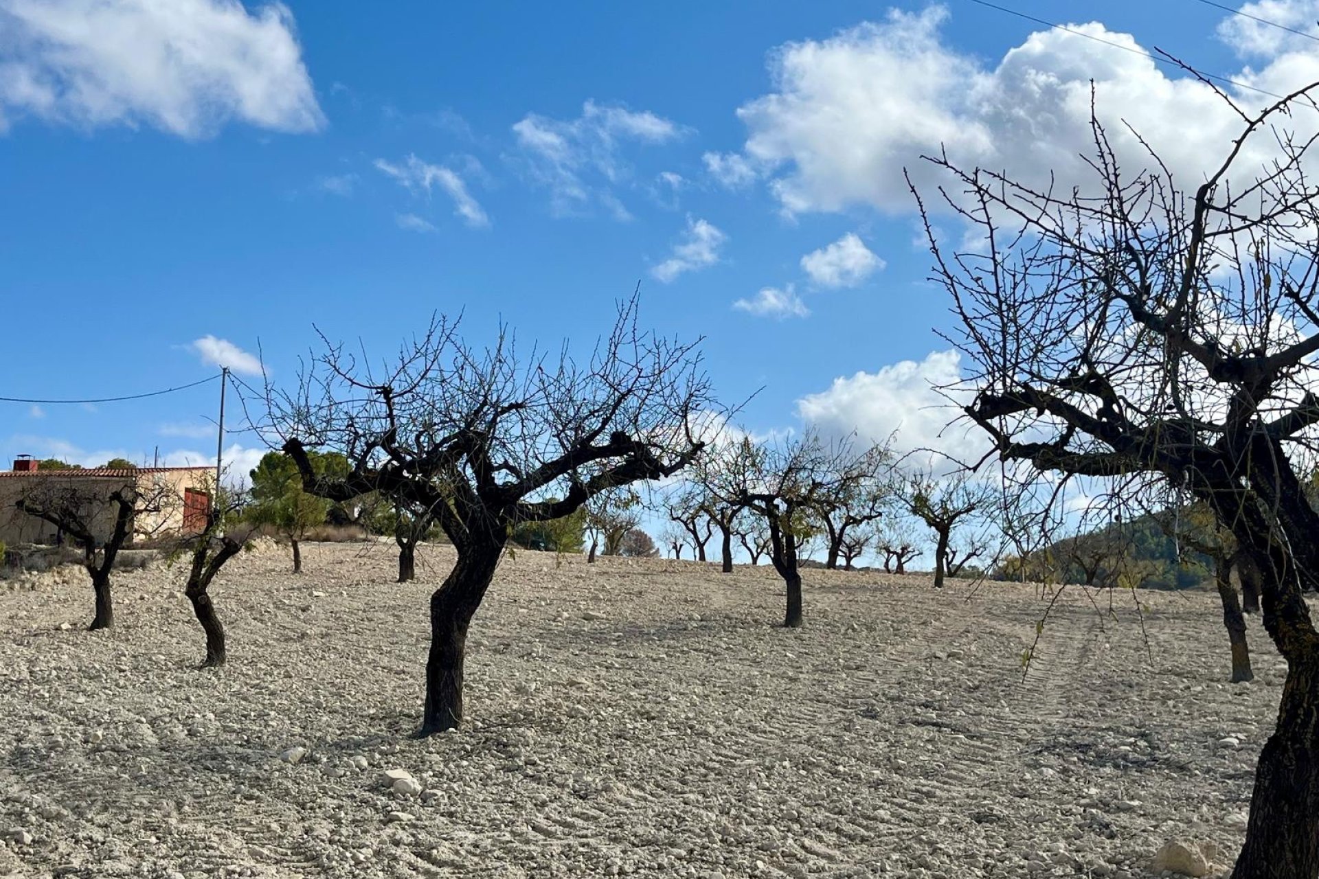 Herverkoop - Plot - Bullas - Costa Calida