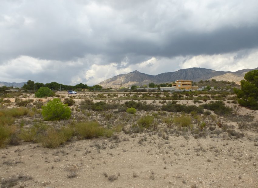 Herverkoop - Plot - Crevillente - Crevillente - Country