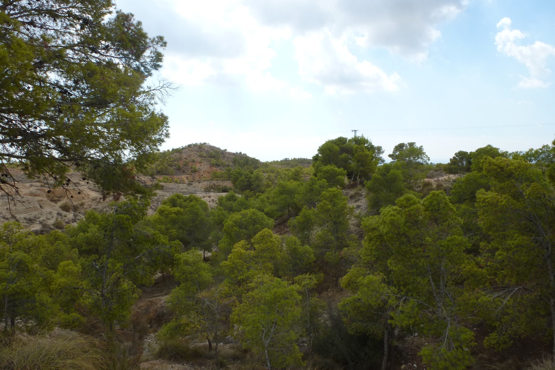 Herverkoop - Plot - Crevillente - Crevillente - Country