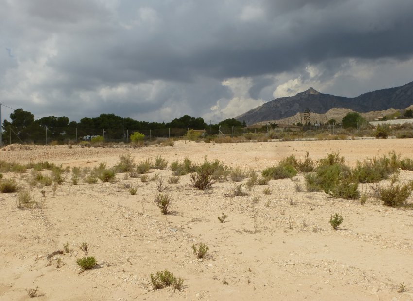 Herverkoop - Plot - Crevillente