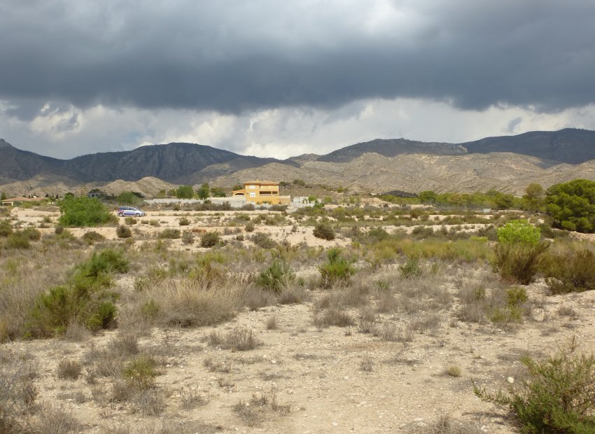 Herverkoop - Plot - Crevillente