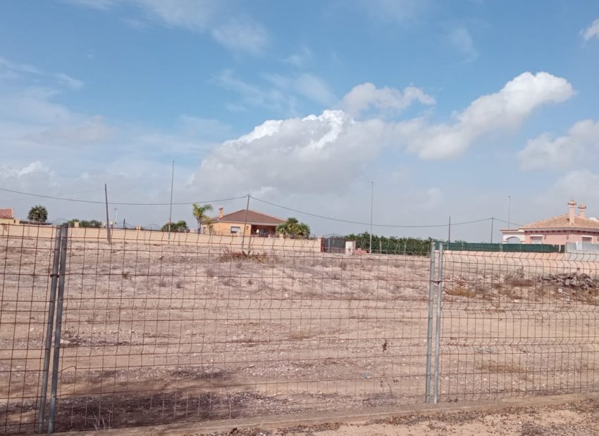 Herverkoop - Plot - Los Montesinos - La Herrada