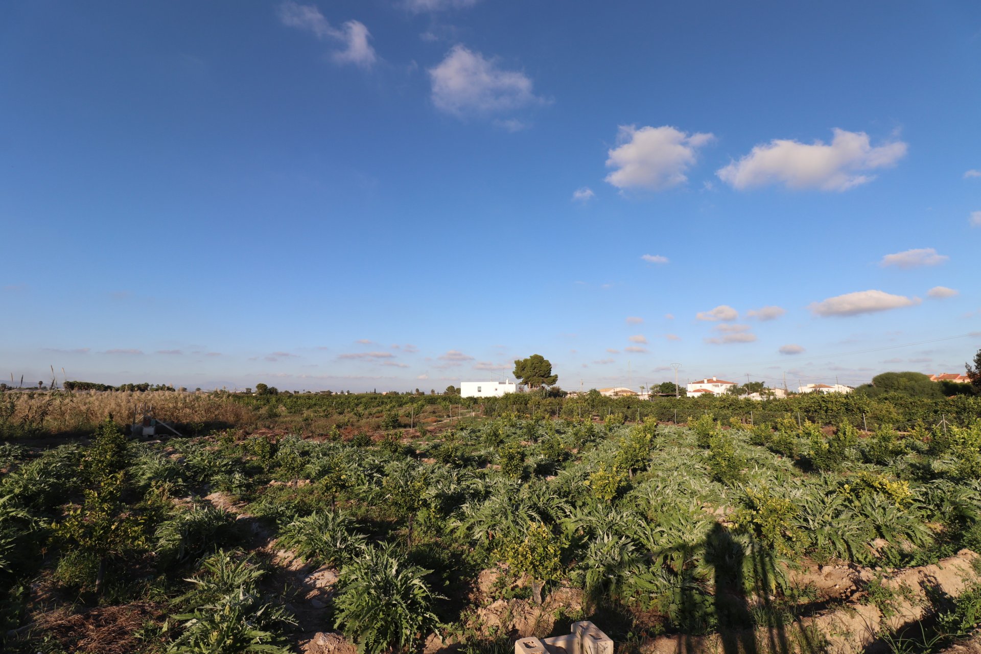 Herverkoop - Plot - Rojales - Los Palacios