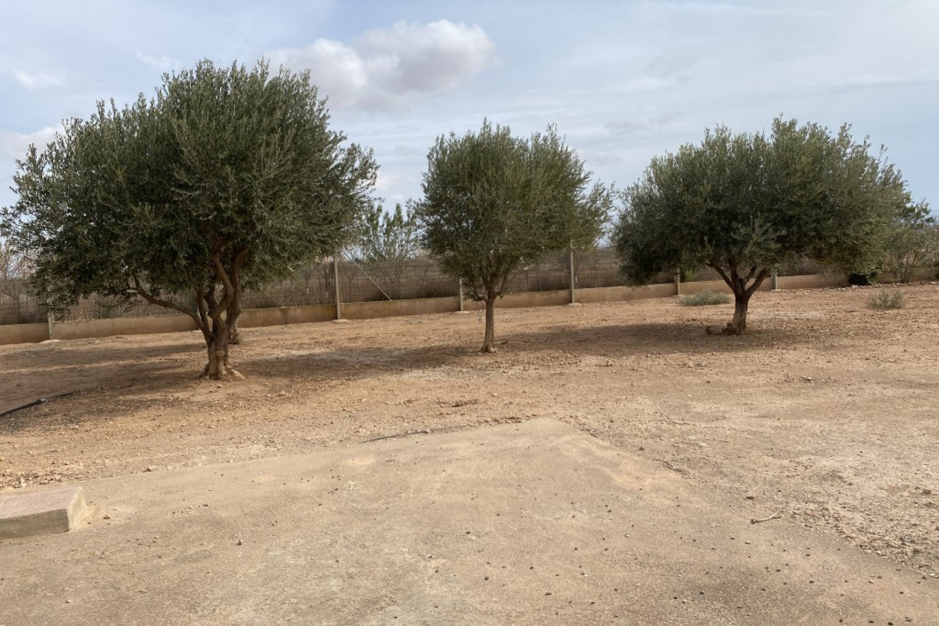 Herverkoop - Rijwoning - Fuente Álamo - Fuente Alamo