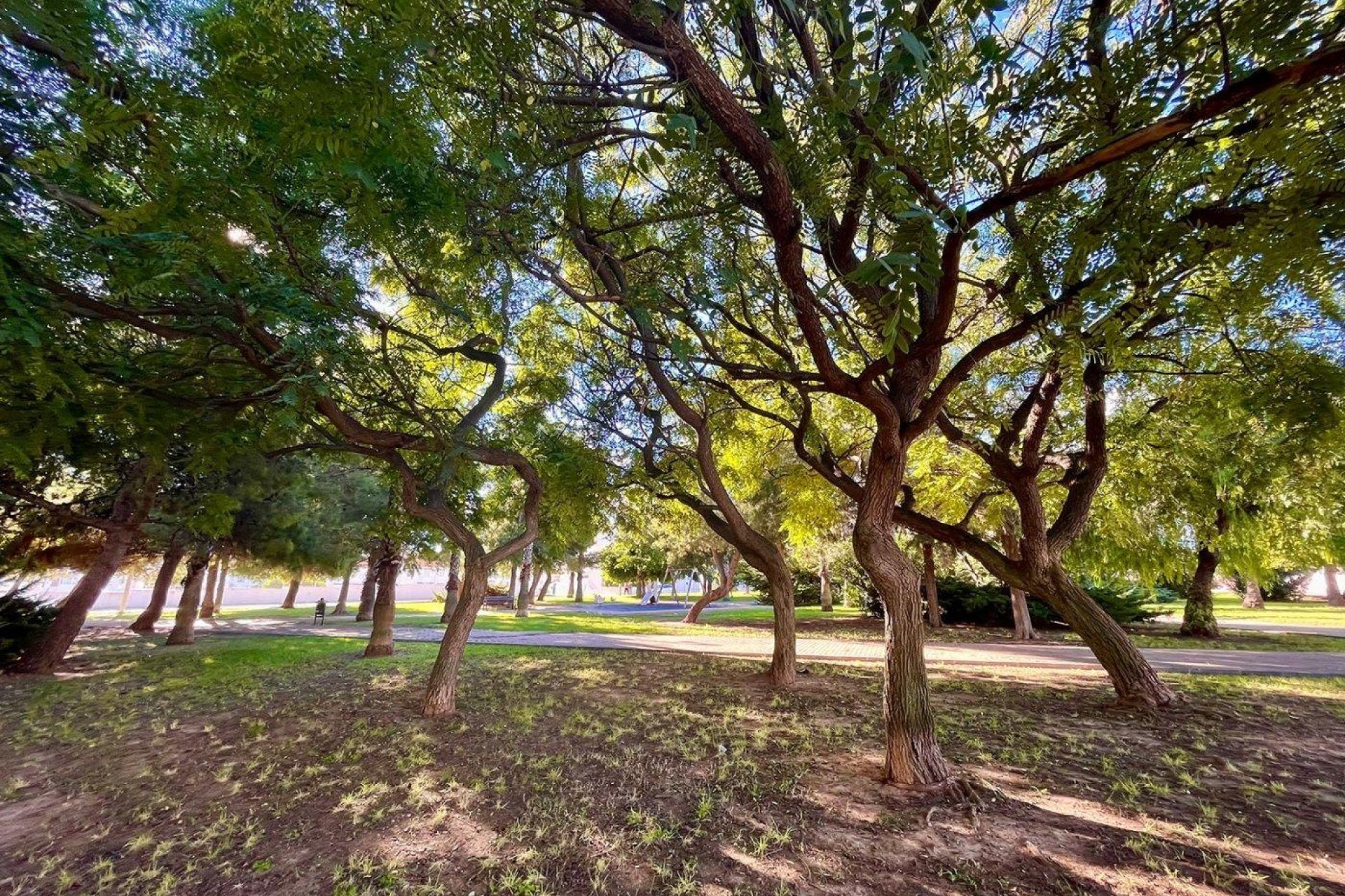 Herverkoop - Rijwoning - Torrevieja - Calas blanca