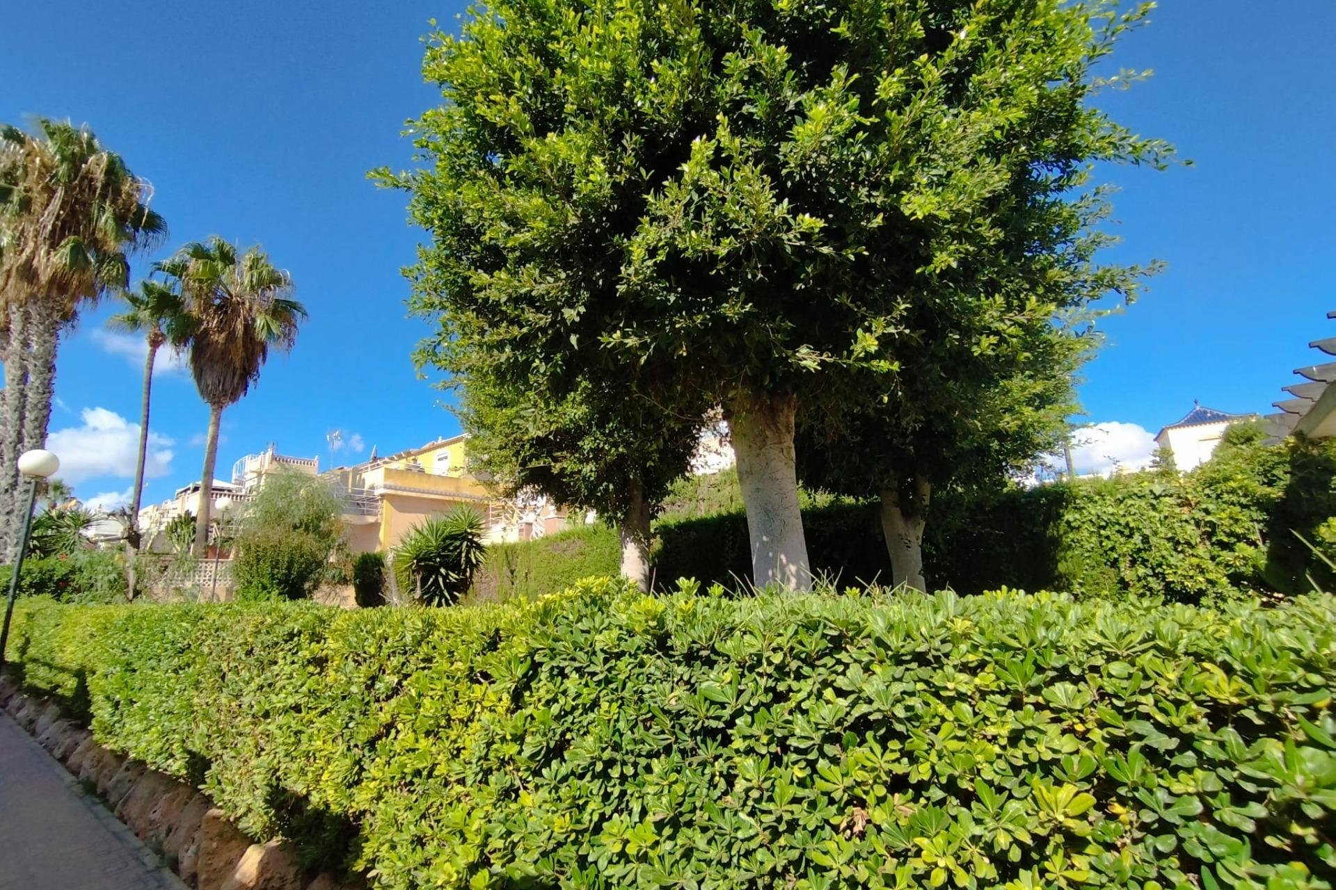 Herverkoop - Rijwoning - Torrevieja - Los Balcones