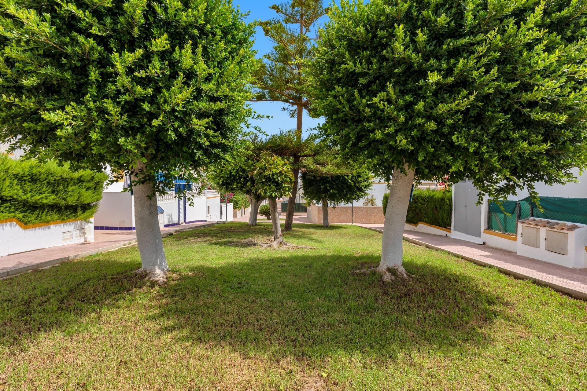 Herverkoop - Terraced house - Torrevieja - Los altos