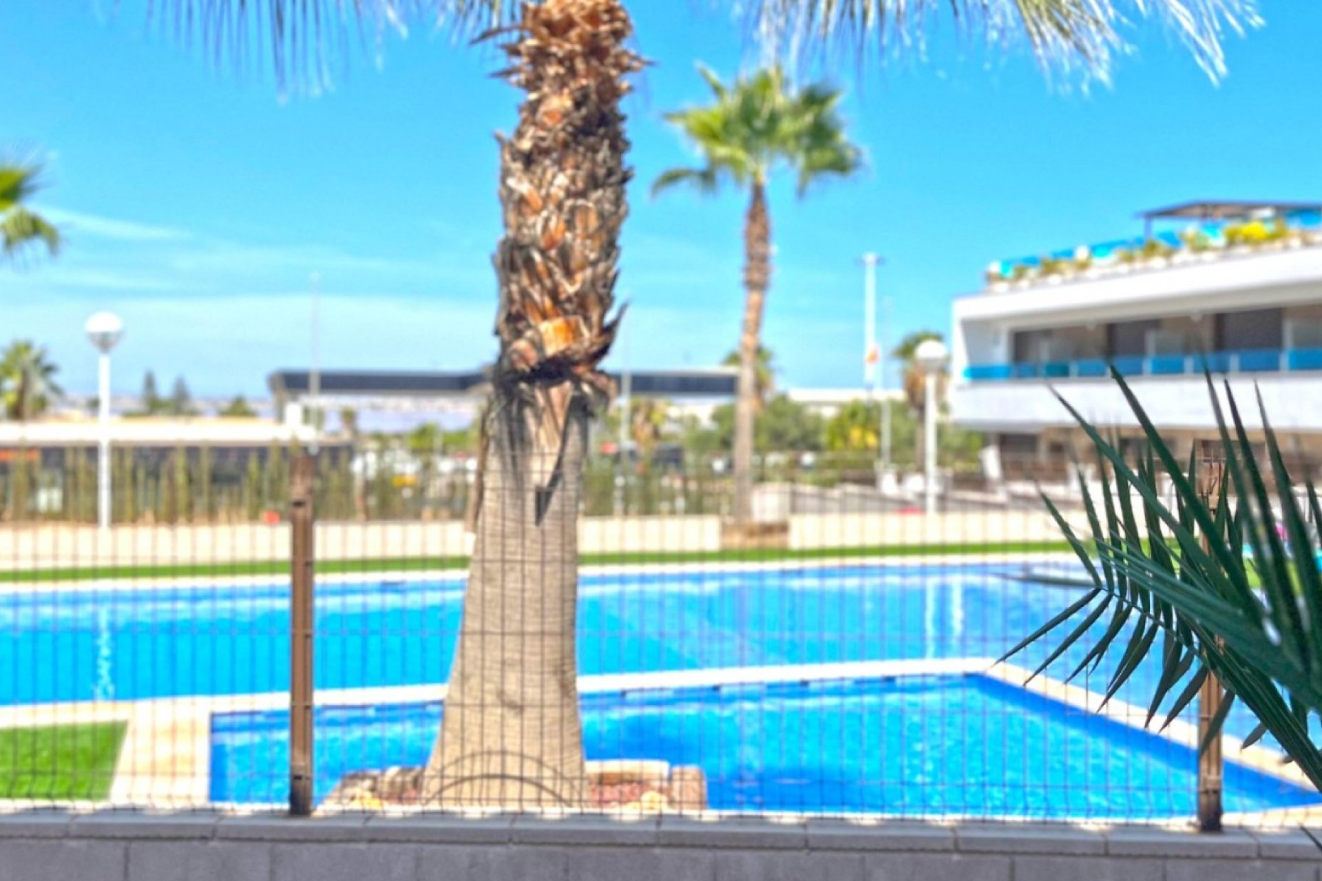 Herverkoop - Town House - Torrevieja - Los Balcones