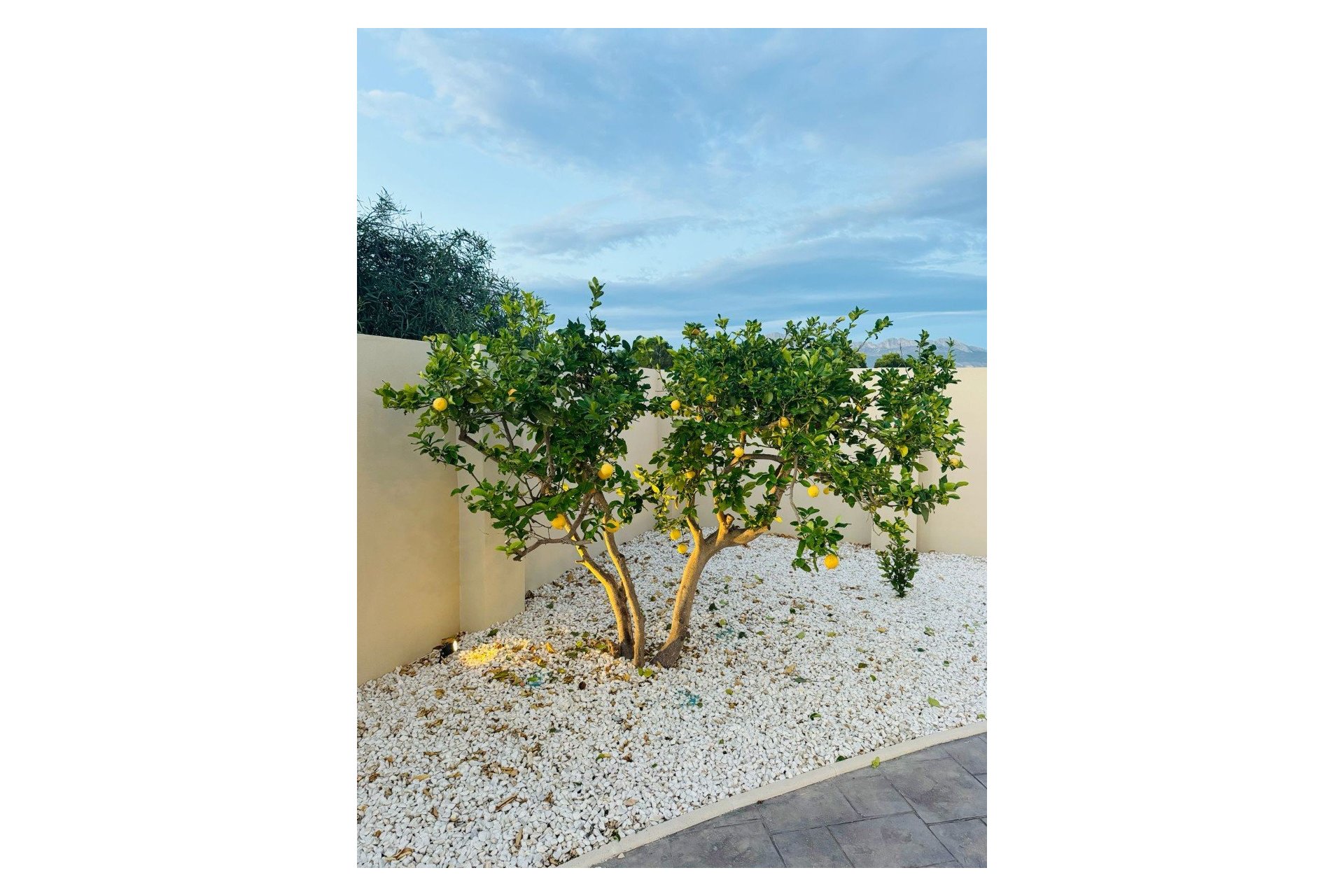 Herverkoop - Villa - Alfas del Pí