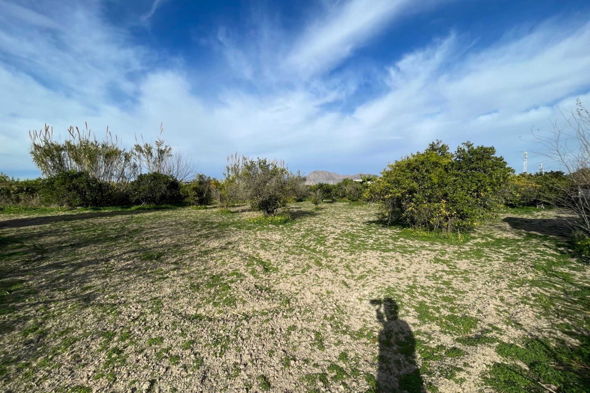 Herverkoop - Villa - Benejúzar