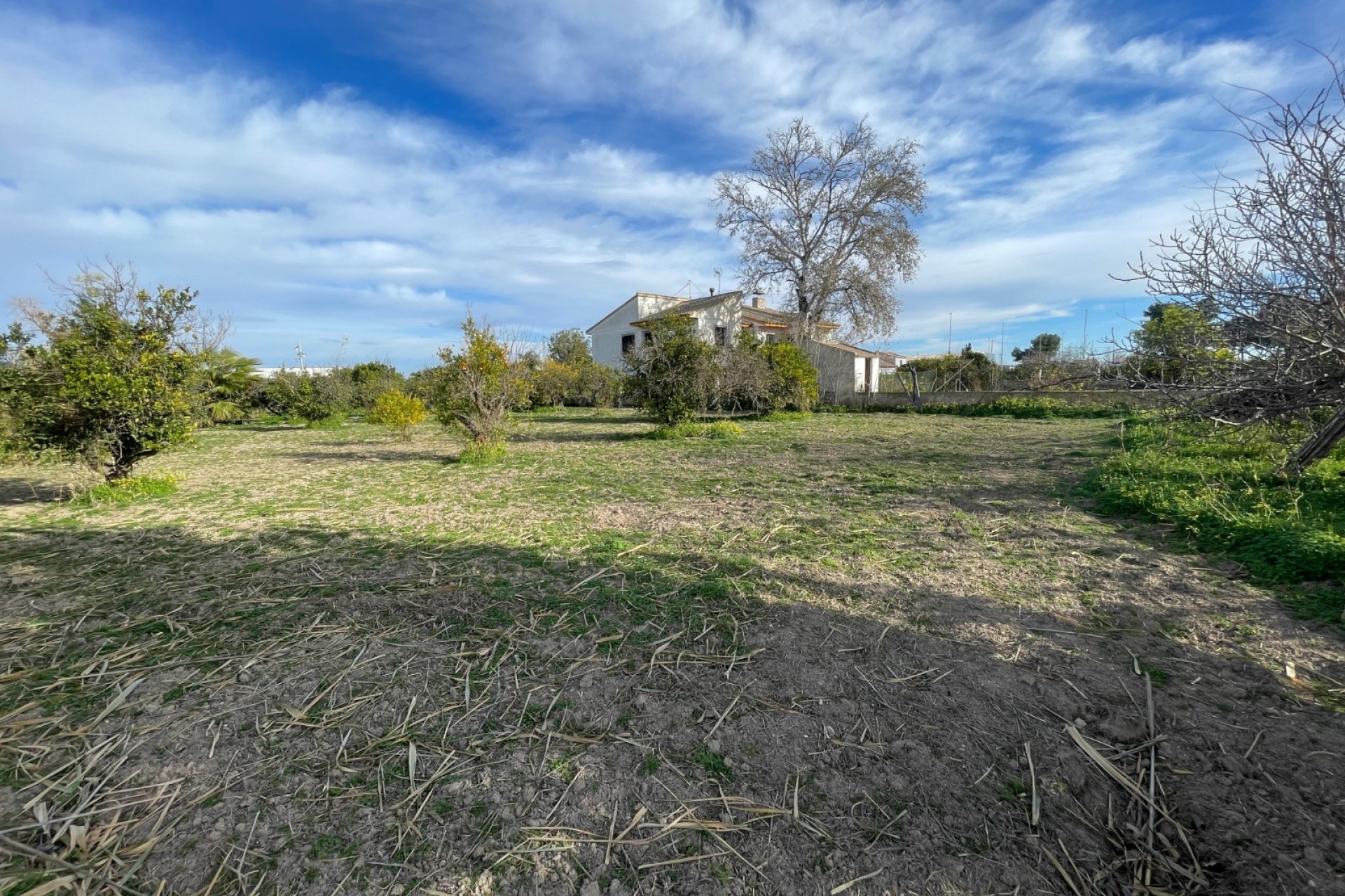 Herverkoop - Villa - Benejúzar