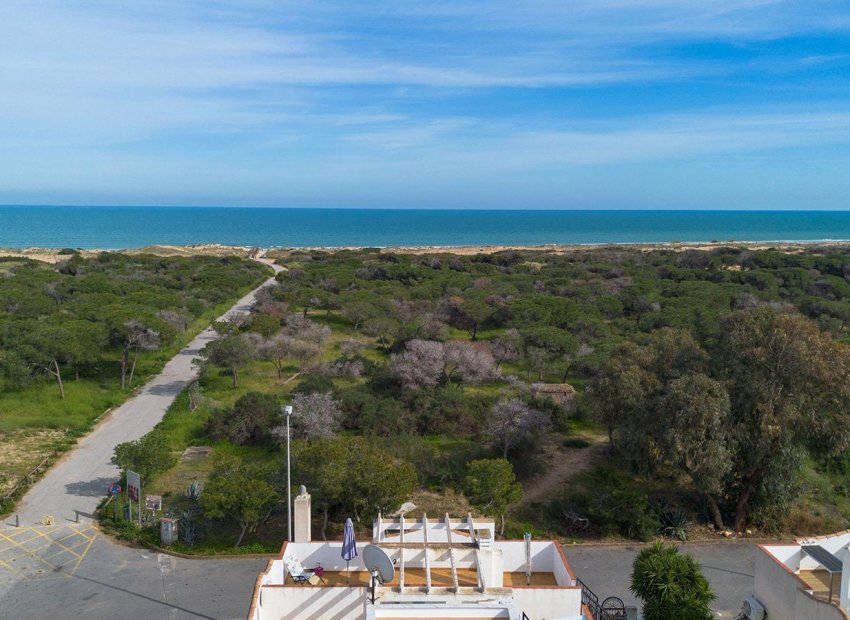 Herverkoop - Villa - Guardamar del Segura