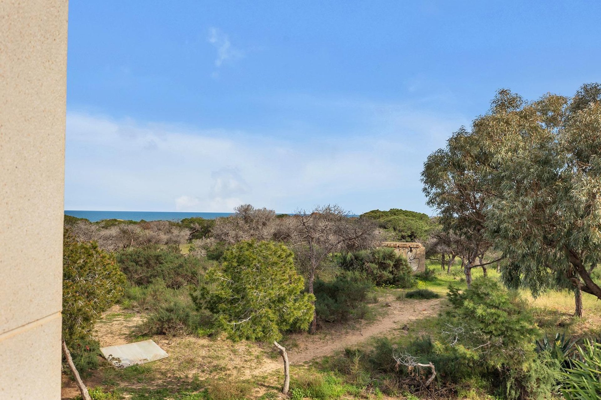 Herverkoop - Villa - Guardamar del Segura