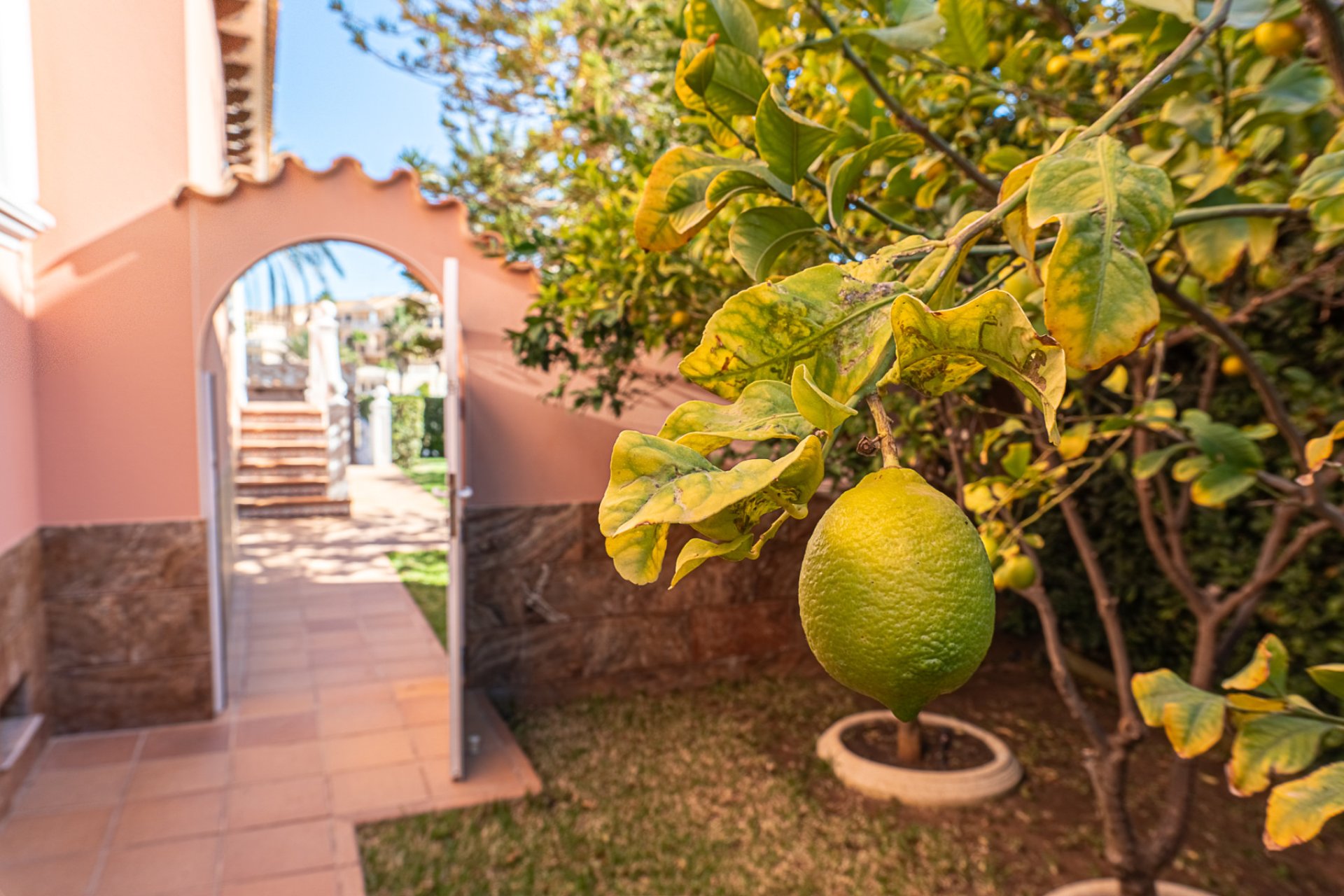 Herverkoop - Villa - La Zenia - Beachside