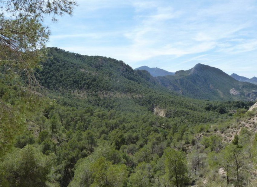 Herverkoop - Villa - Murcia