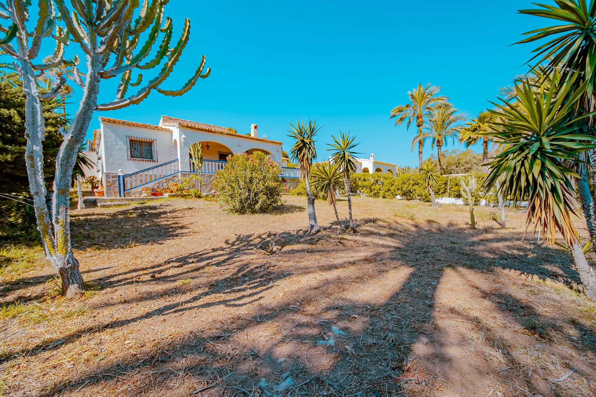 Herverkoop - Villa - Orihuela Costa - Playa Flamenca