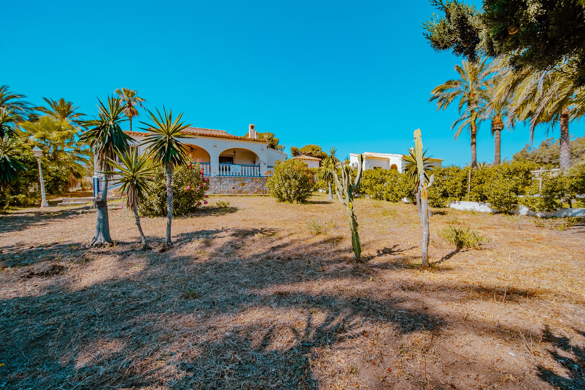 Herverkoop - Villa - Orihuela Costa - Playa Flamenca