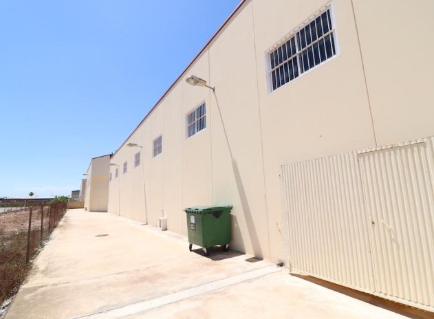 Industrial unit - Resale - Los Montesinos - Centro