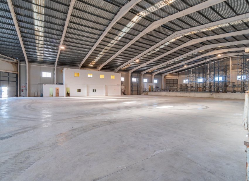 Long Term Rental - Commercial * - Pilar de la Horadada * - Polígono industrial Cañada de Práez