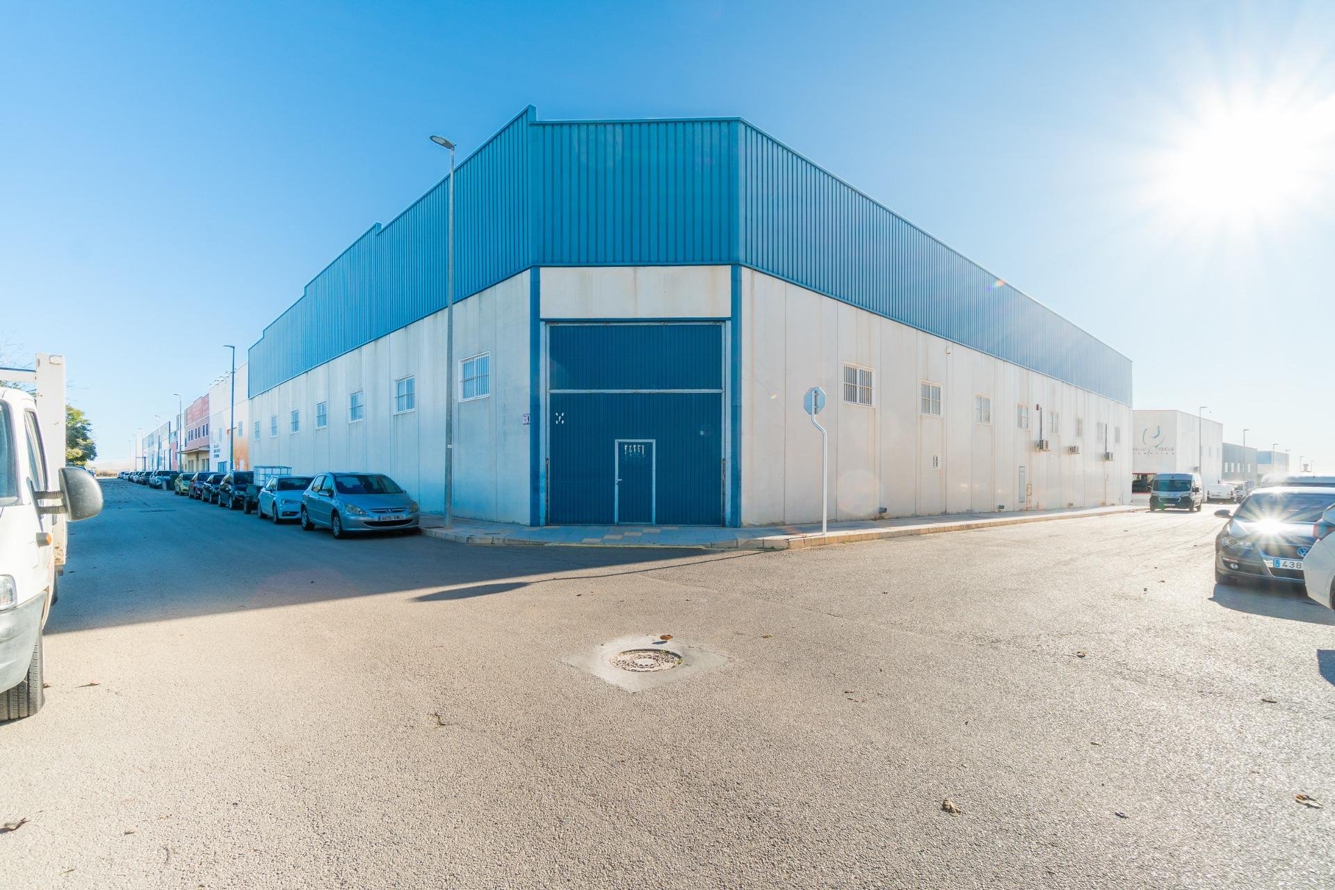 Long Term Rental - Commercial * - Pilar de la Horadada * - Polígono industrial Cañada de Práez