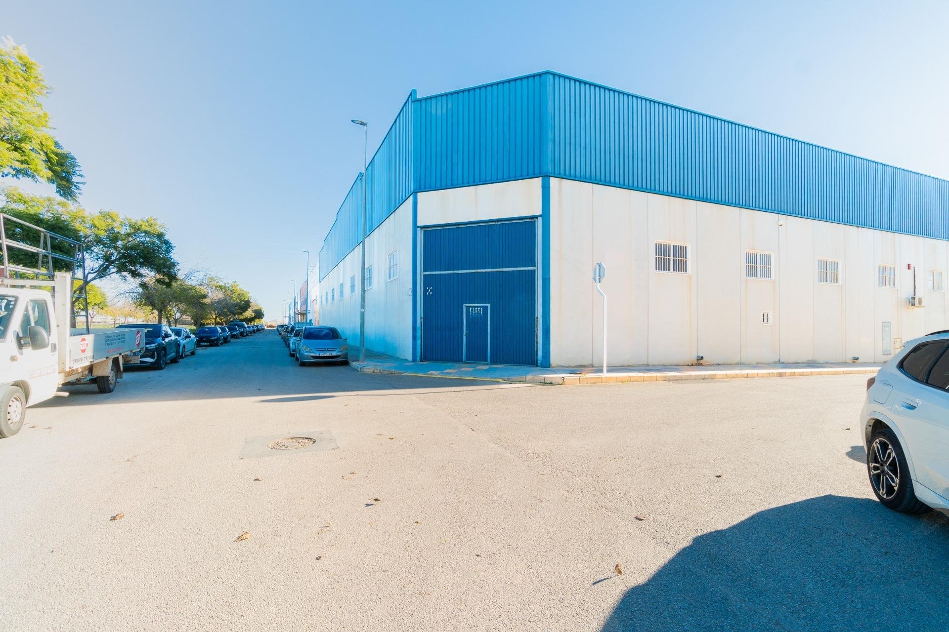 Long Term Rental - Commercial * - Pilar de la Horadada * - Polígono industrial Cañada de Práez