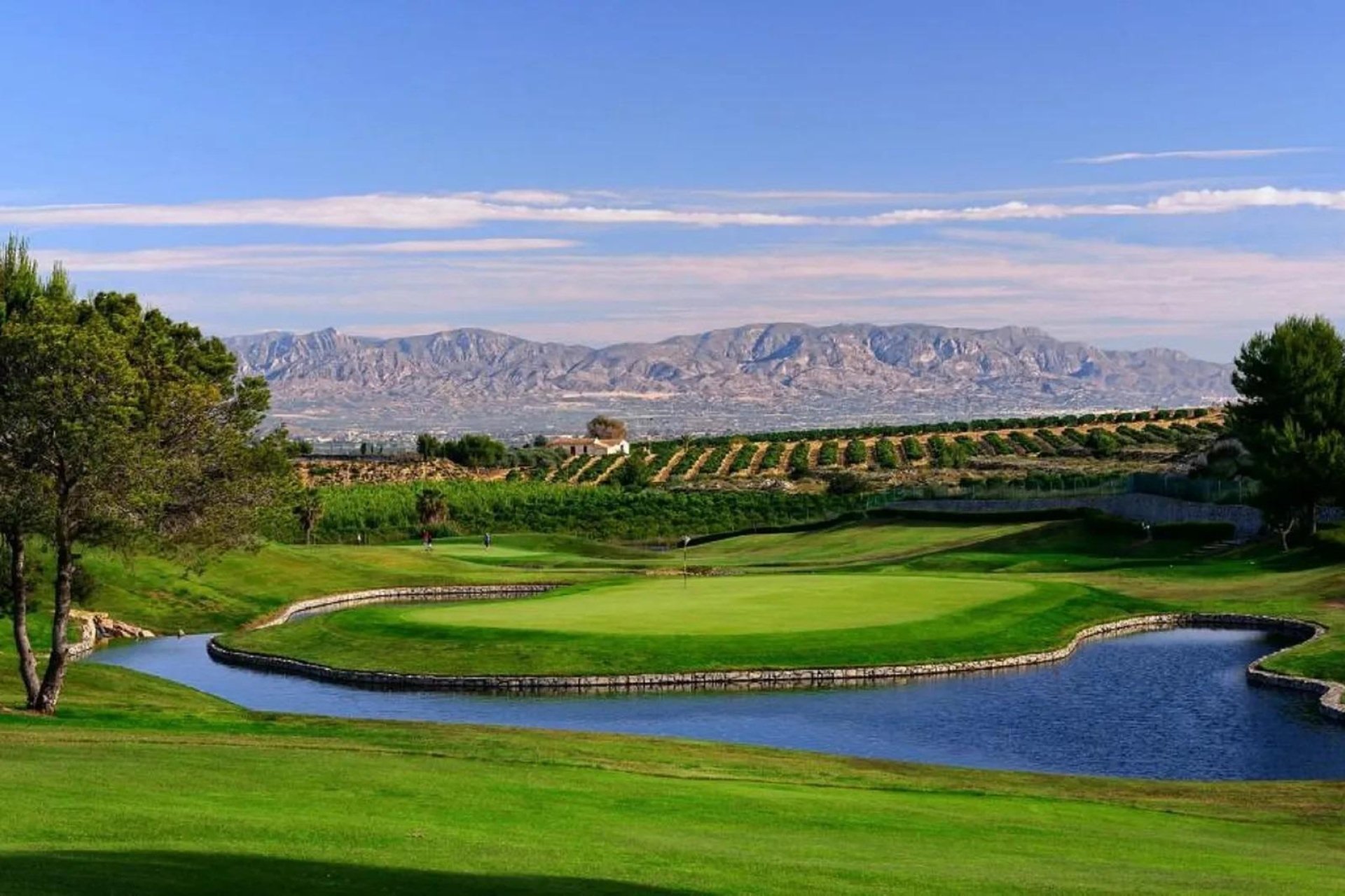 Neue Gebäude - Bungalow - Algorfa - La Finca Golf