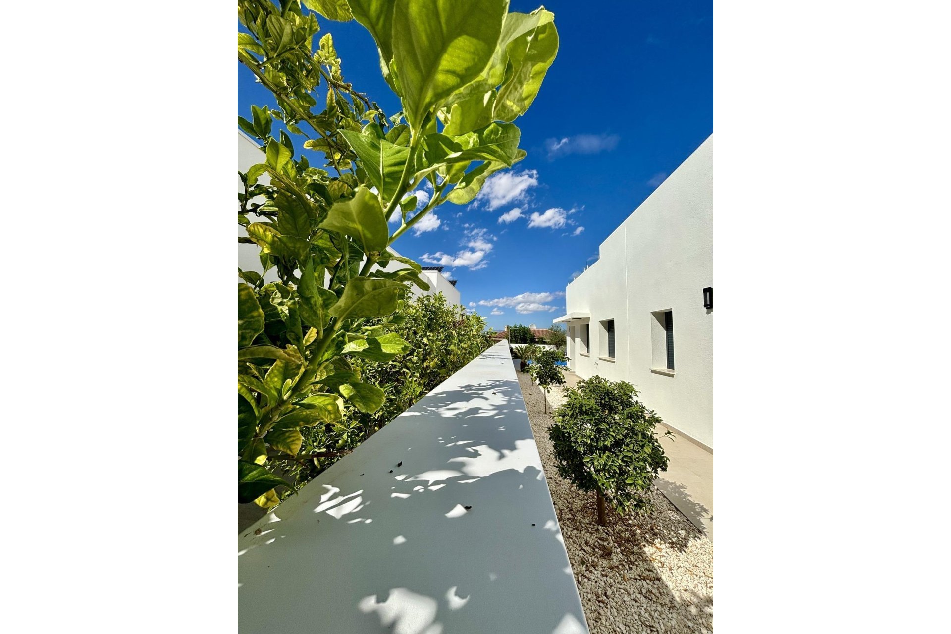 Neue Gebäude - Villa - Benijofar