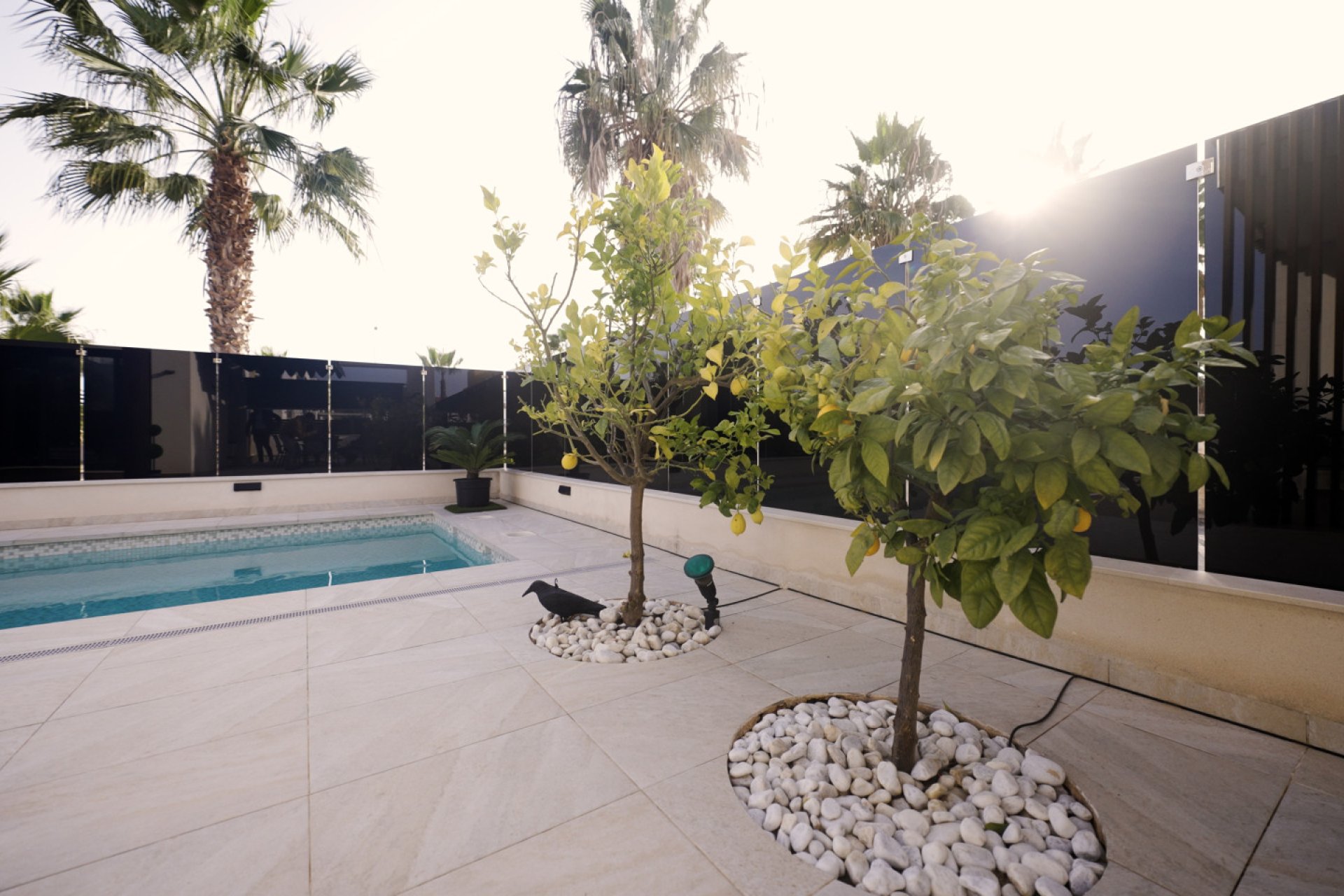 Neue Gebäude - Villa - Dehesa de Campoamor - Dehesa de campoamor