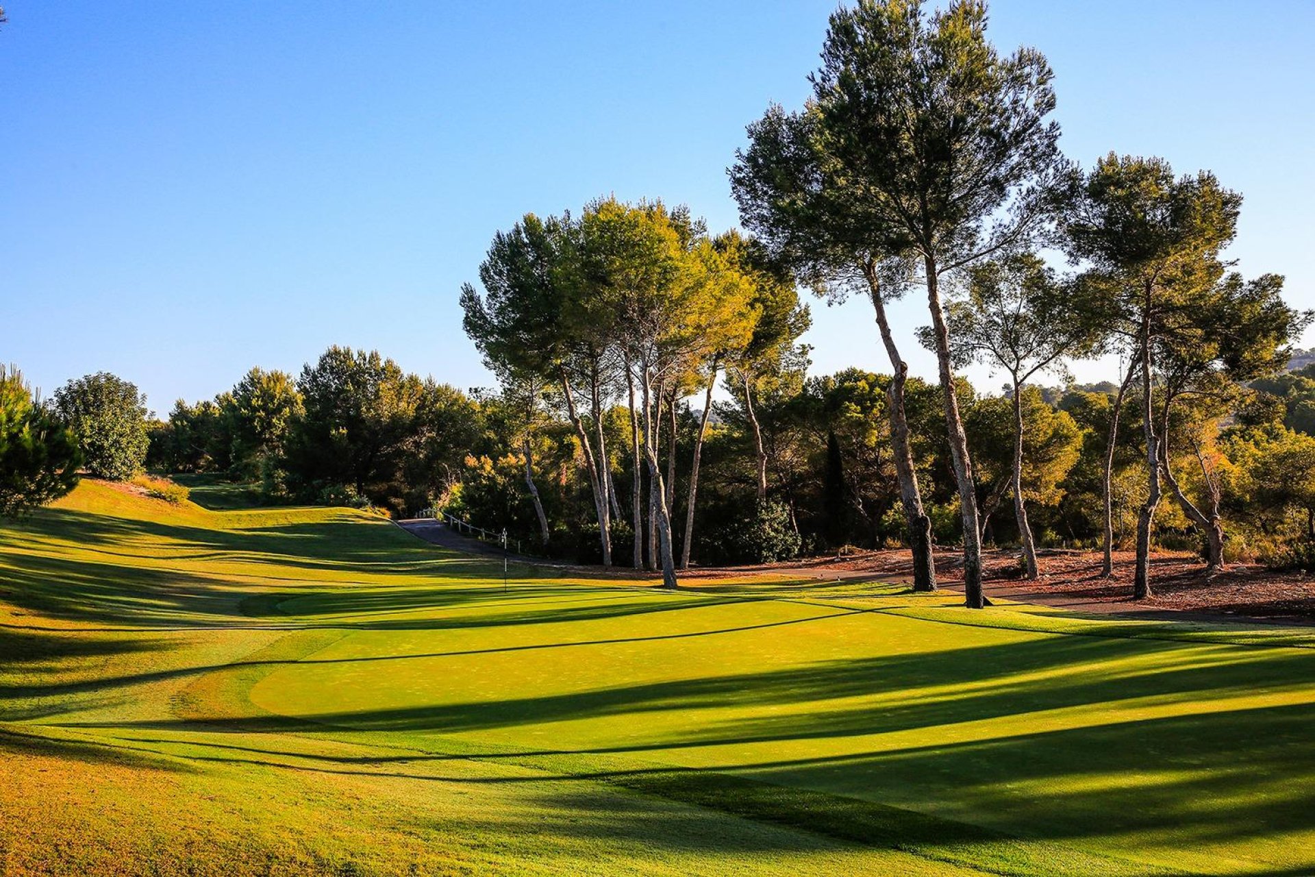 Neue Gebäude - Villa - Orihuela - Las Colinas Golf Resort