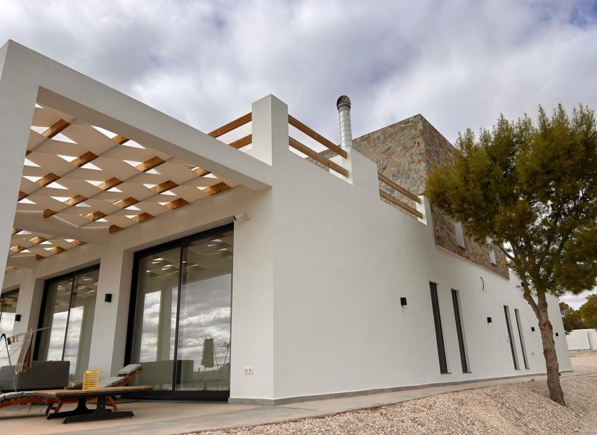 Neue Gebäude - Villa - Pinoso - Casas Pastor