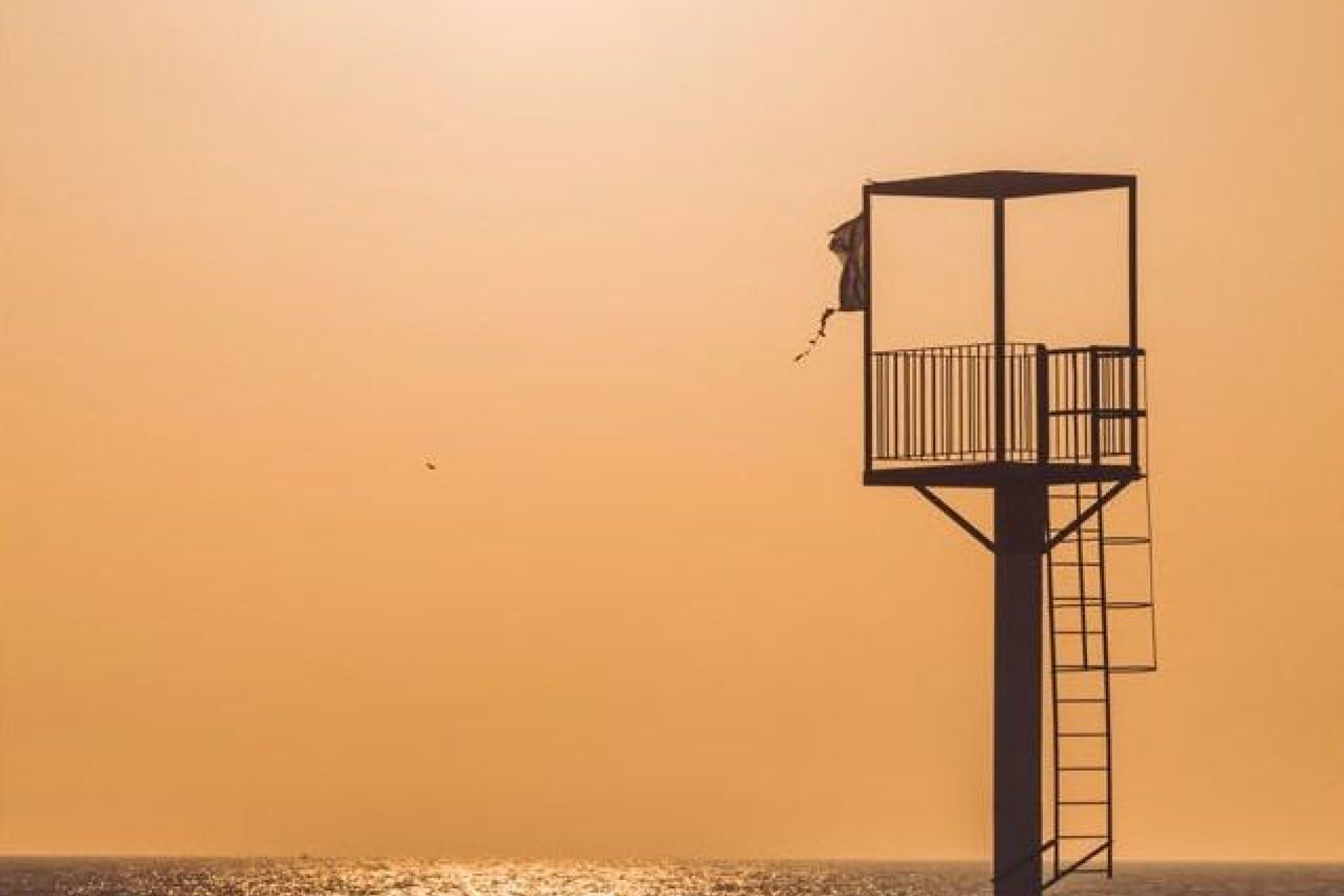 Neue Gebäude - Wohnung - Almerimar - Costa de Almería