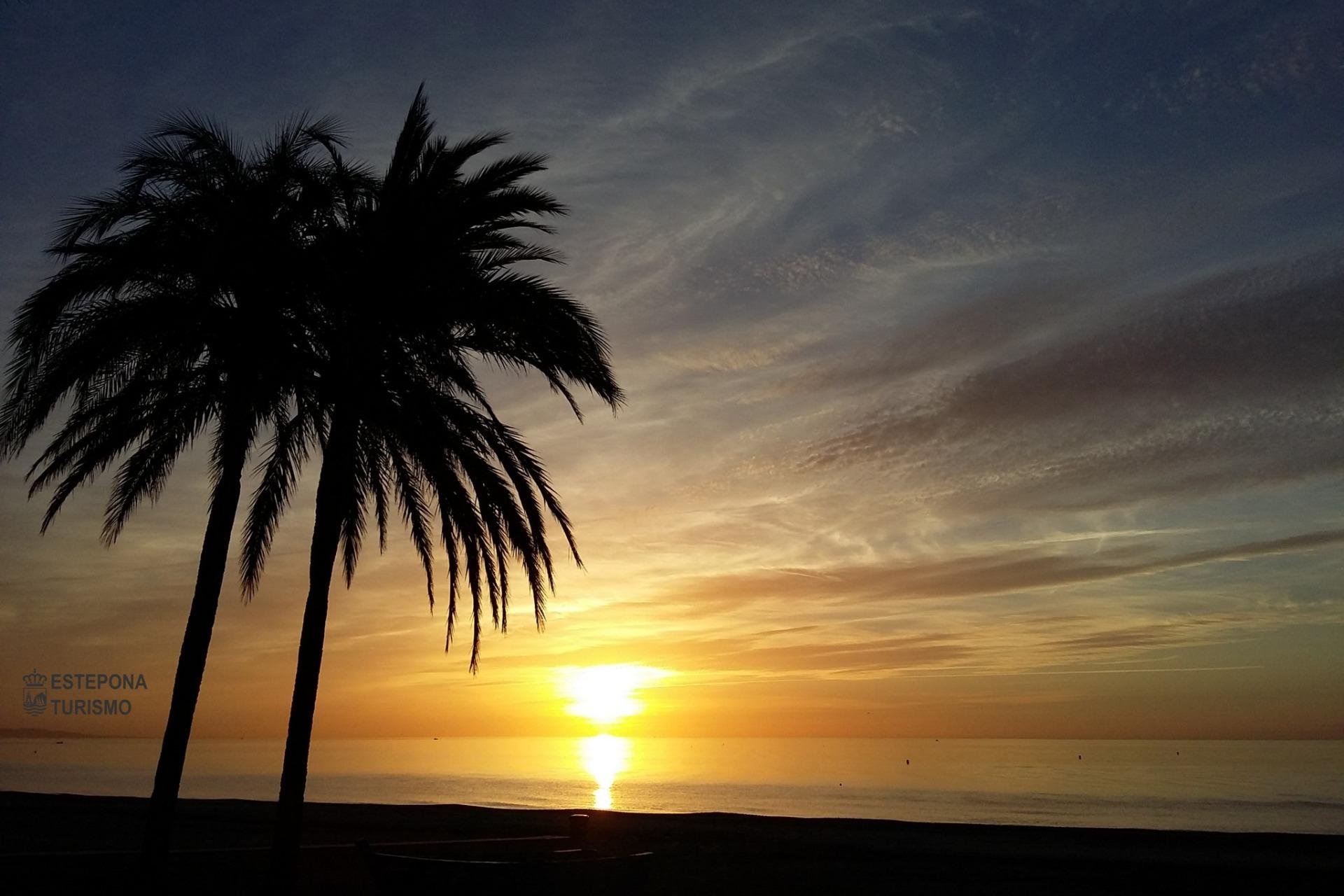 Neue Gebäude - Wohnung - Estepona - Buenas Noches