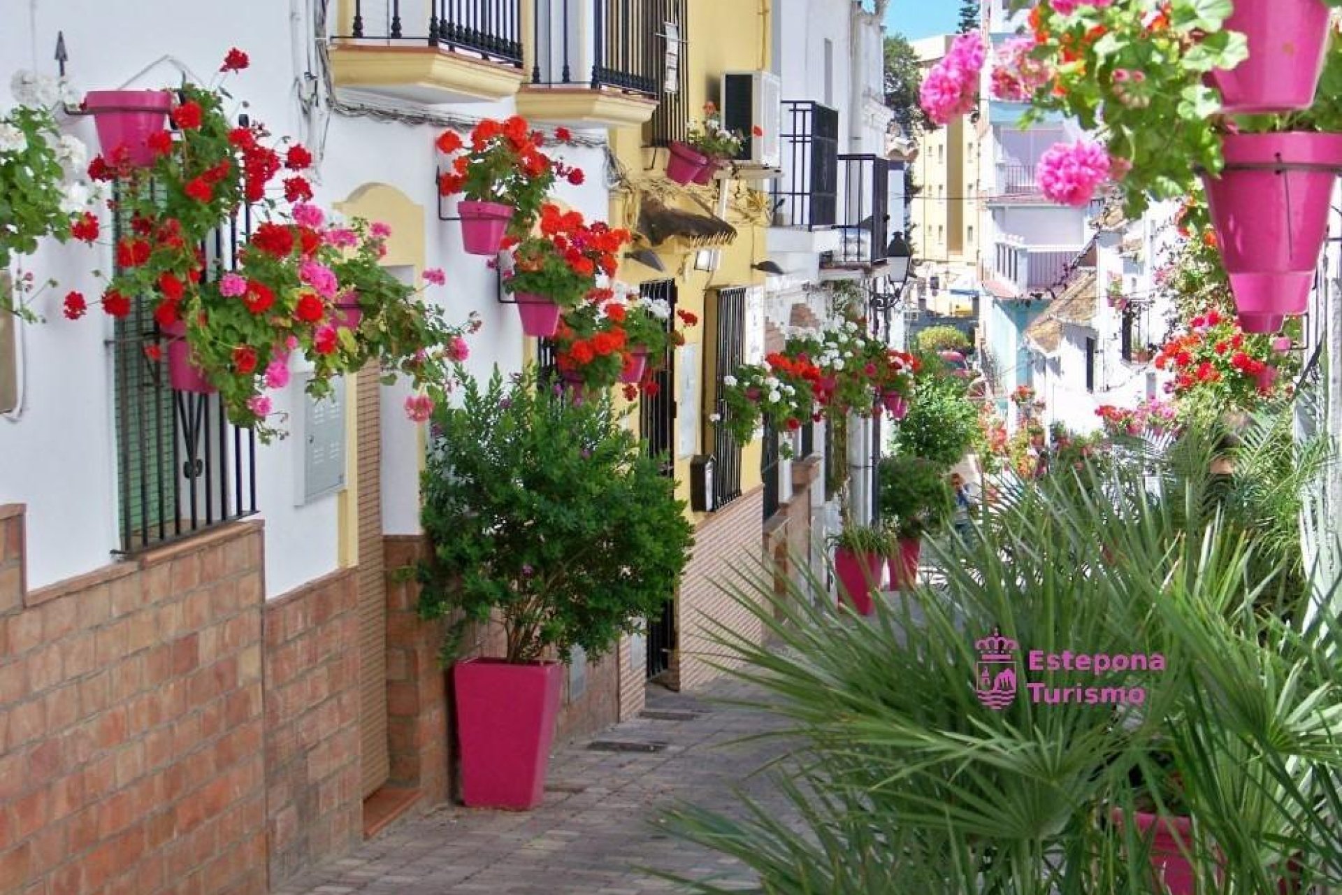 Neue Gebäude - Wohnung - Estepona - Parque El Calvario