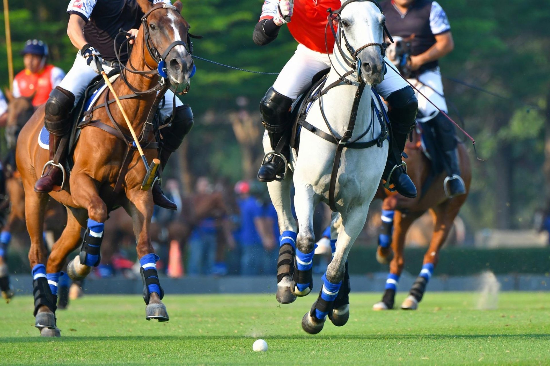 Neue Gebäude - Wohnung - Manilva - Bahia De Las Rocas