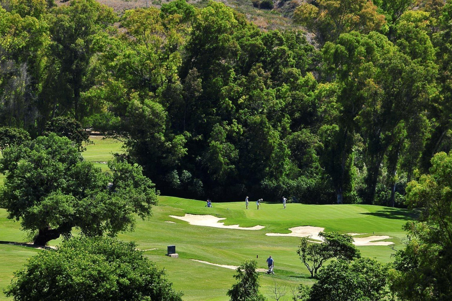 Neue Gebäude - Wohnung - Mijas - Mijas Golf