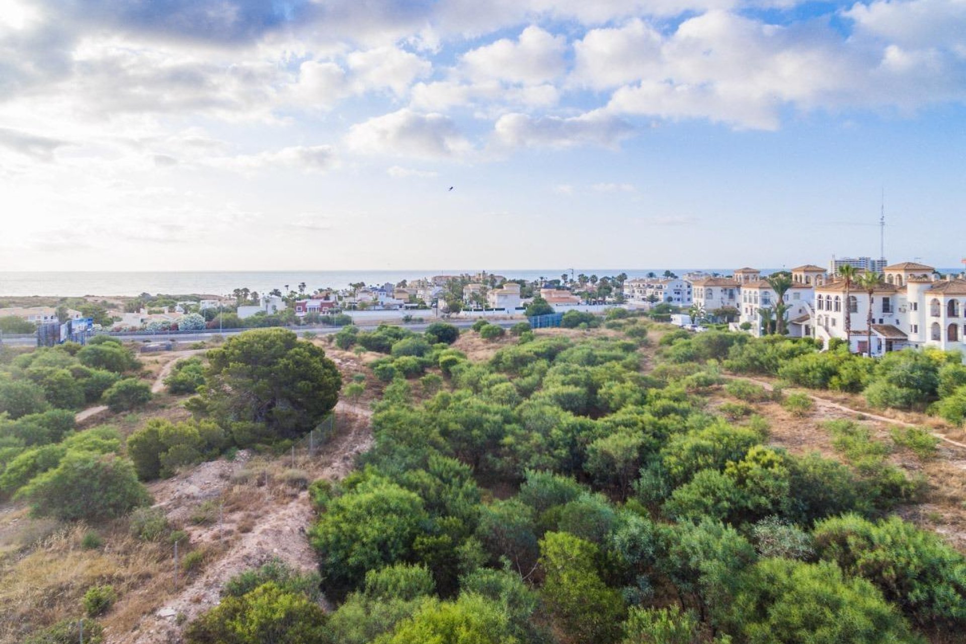 Neue Gebäude - Wohnung - Orihuela Costa - Playa Flamenca