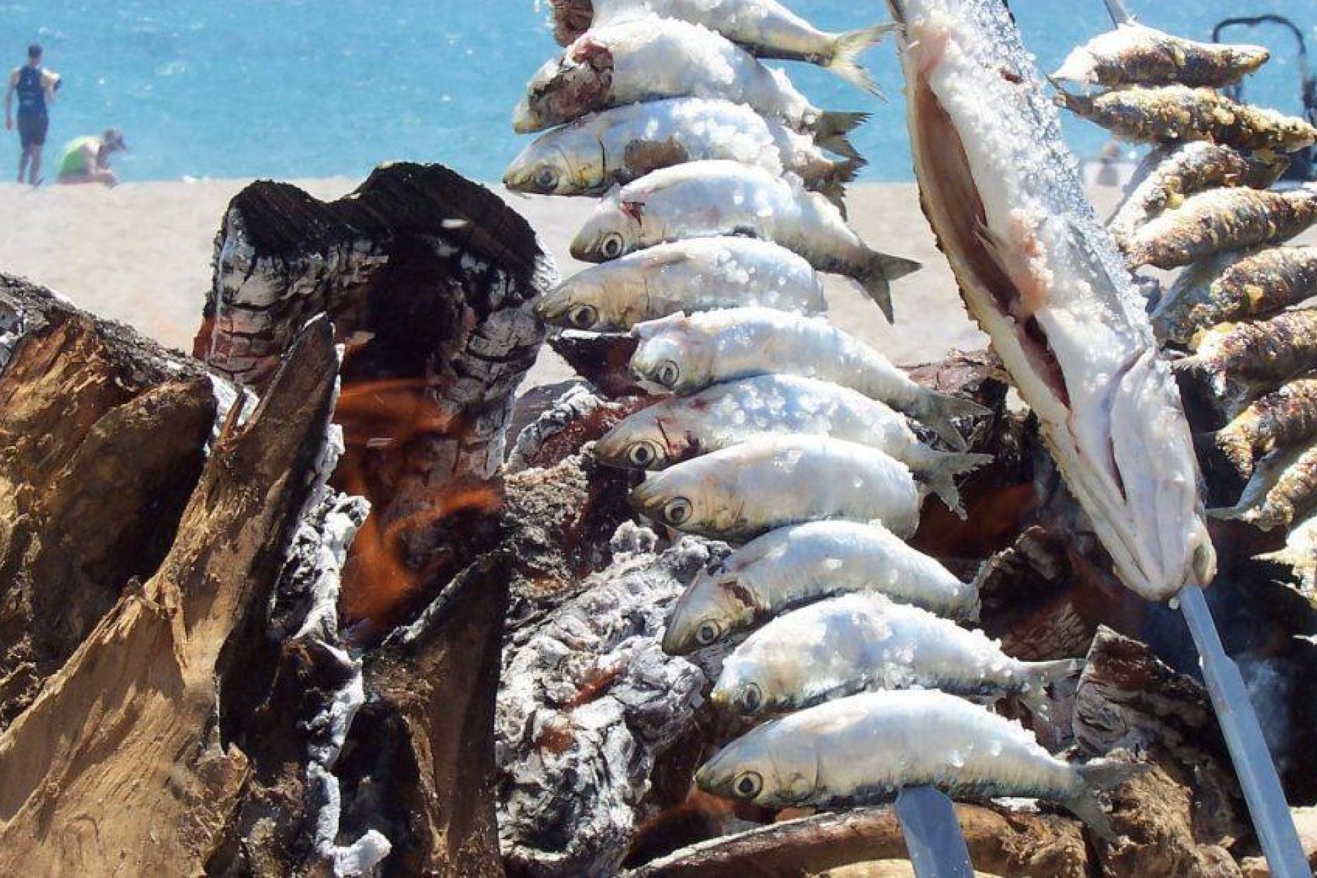 Neue Gebäude - Wohnung - San Luis de Sabinillas - Costa del Sol