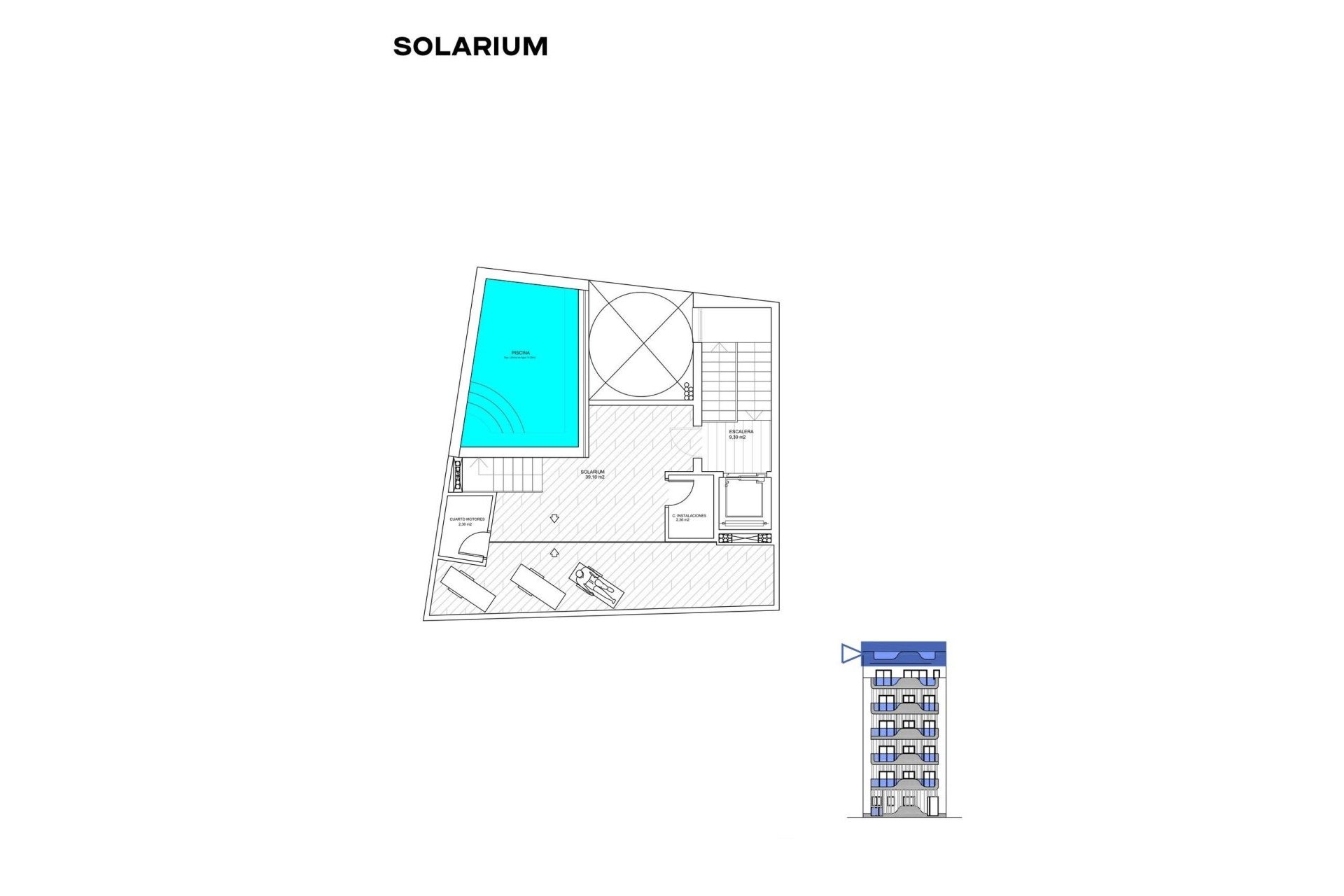 Neue Gebäude - Wohnung - Torrevieja - Playa de los Locos