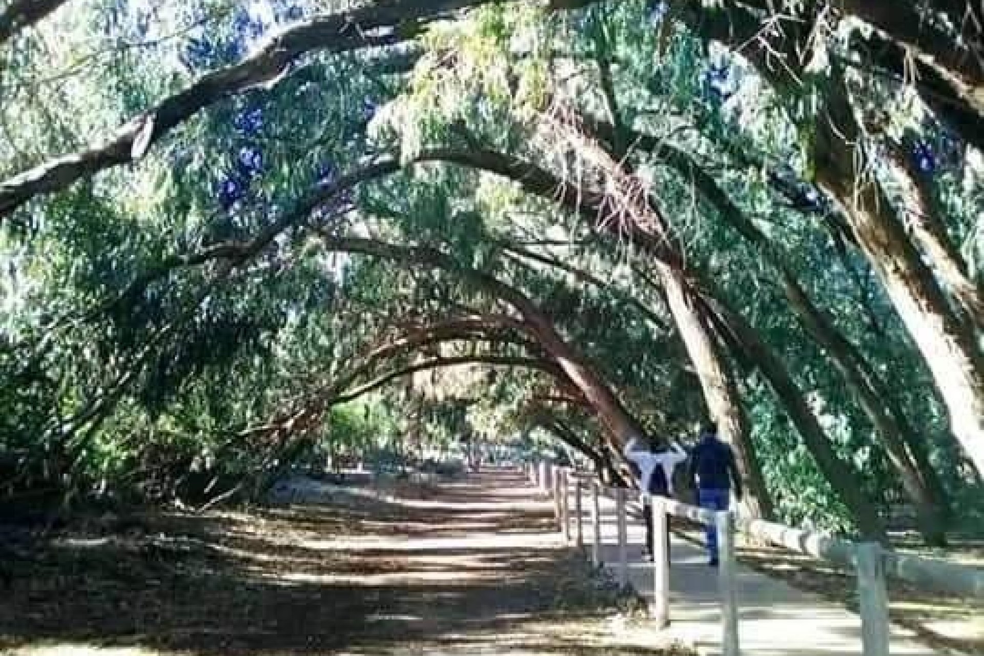 Neue Gebäude - Wohnung - Torrevieja