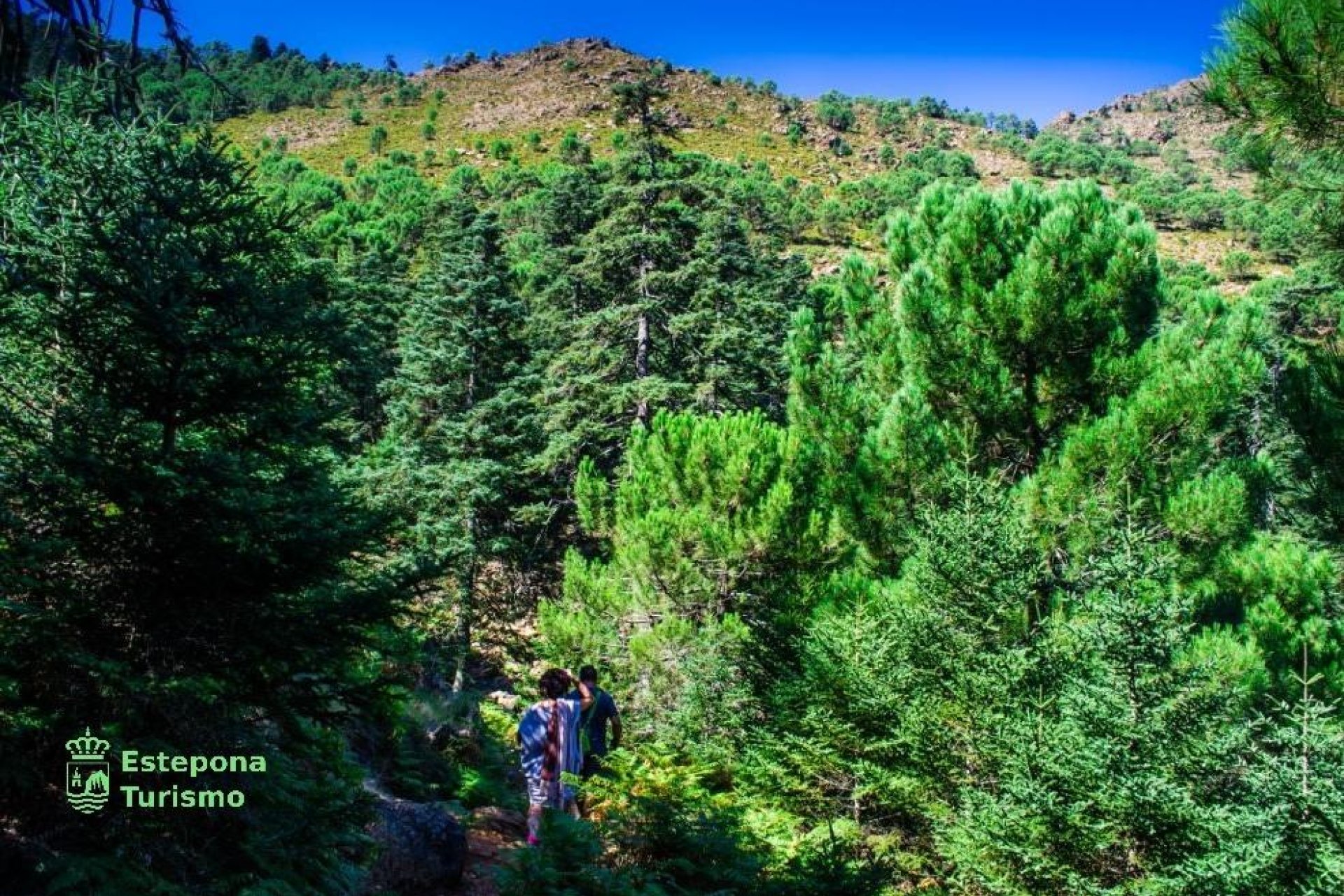 New Build - Apartment / Flat * - Estepona - Playa de La Rada