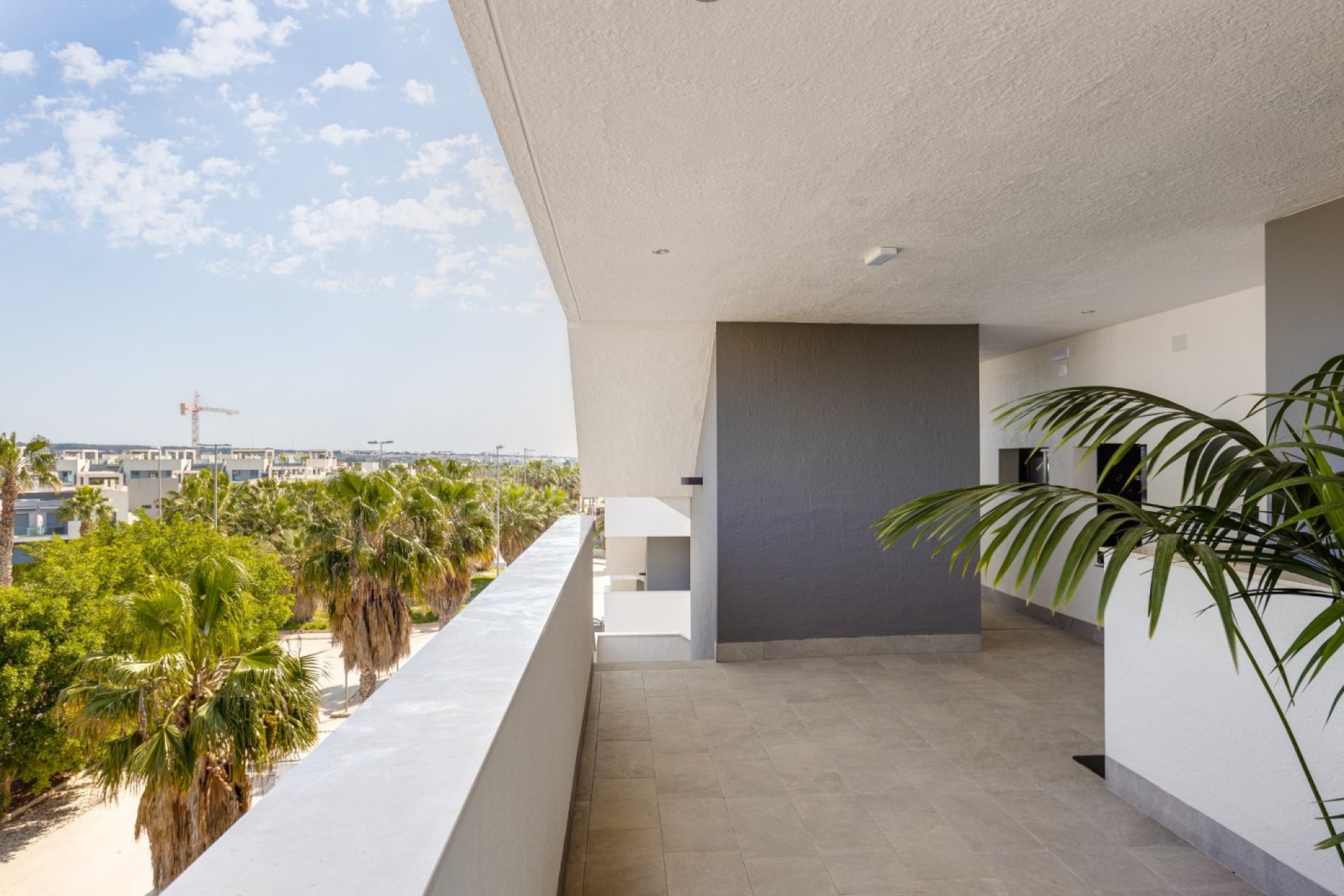 New Build - Apartment / flat - Guardamar del Segura - El Raso