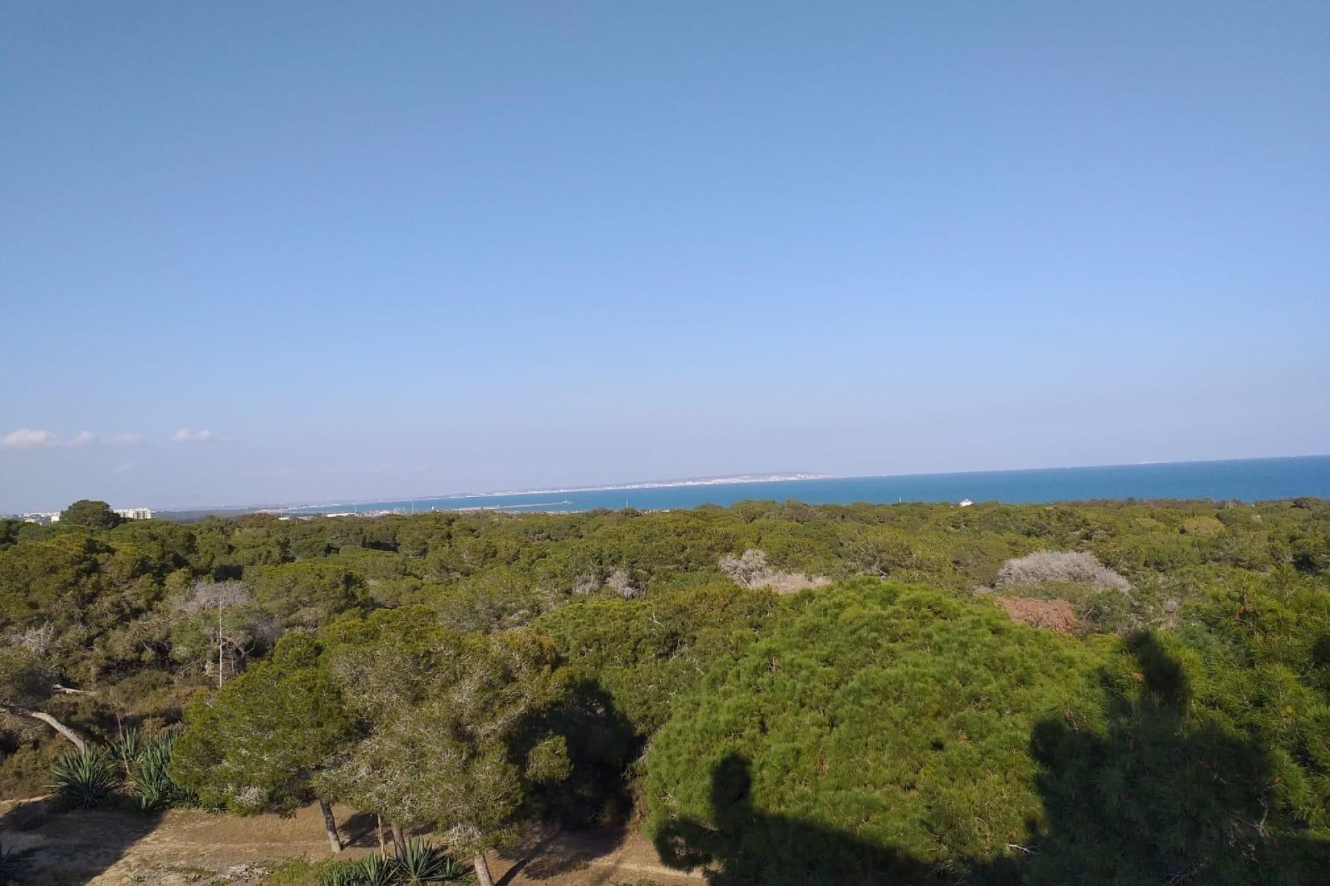 New Build - Apartment / Flat * - Guardamar del Segura *