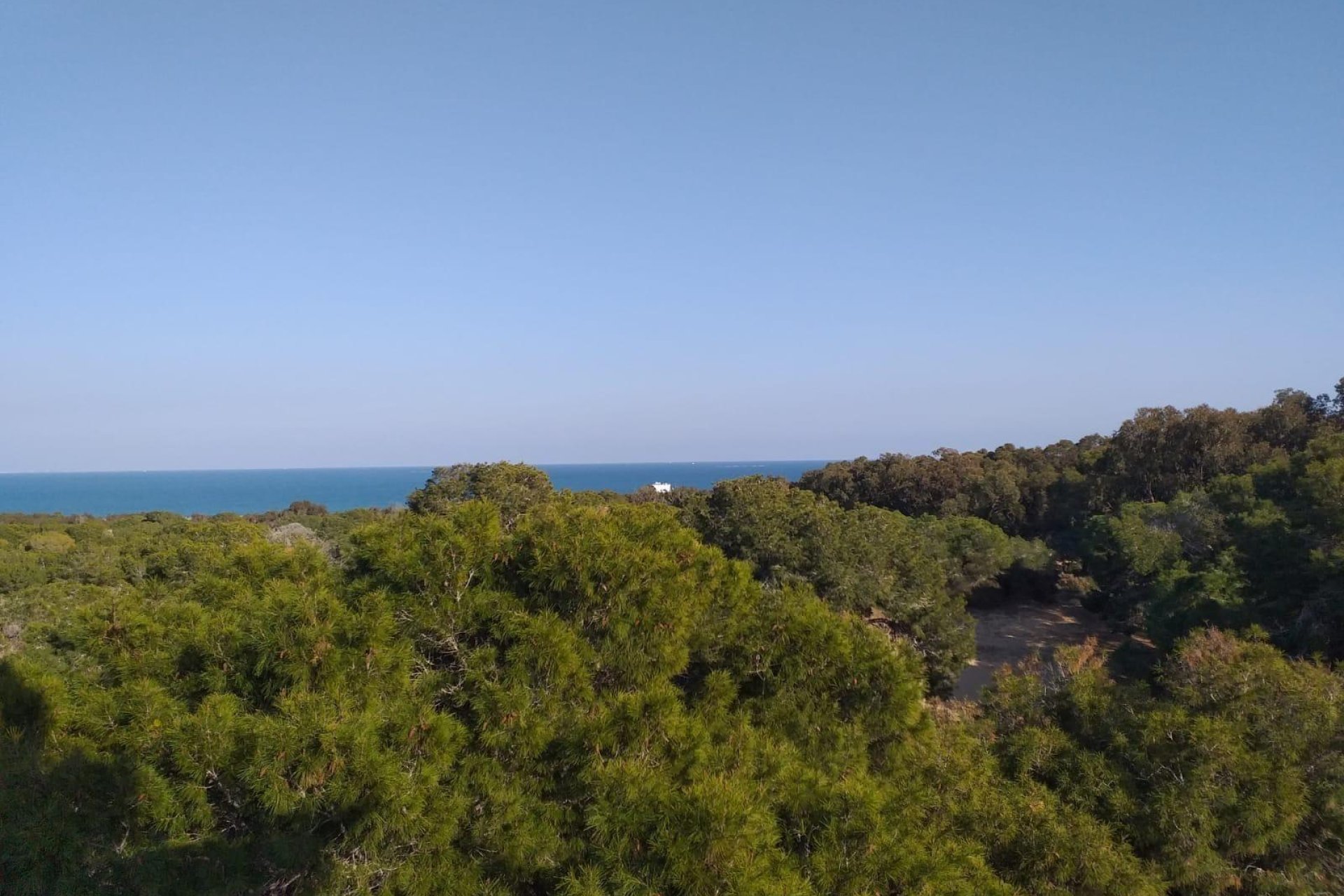 New Build - Apartment / Flat * - Guardamar del Segura *