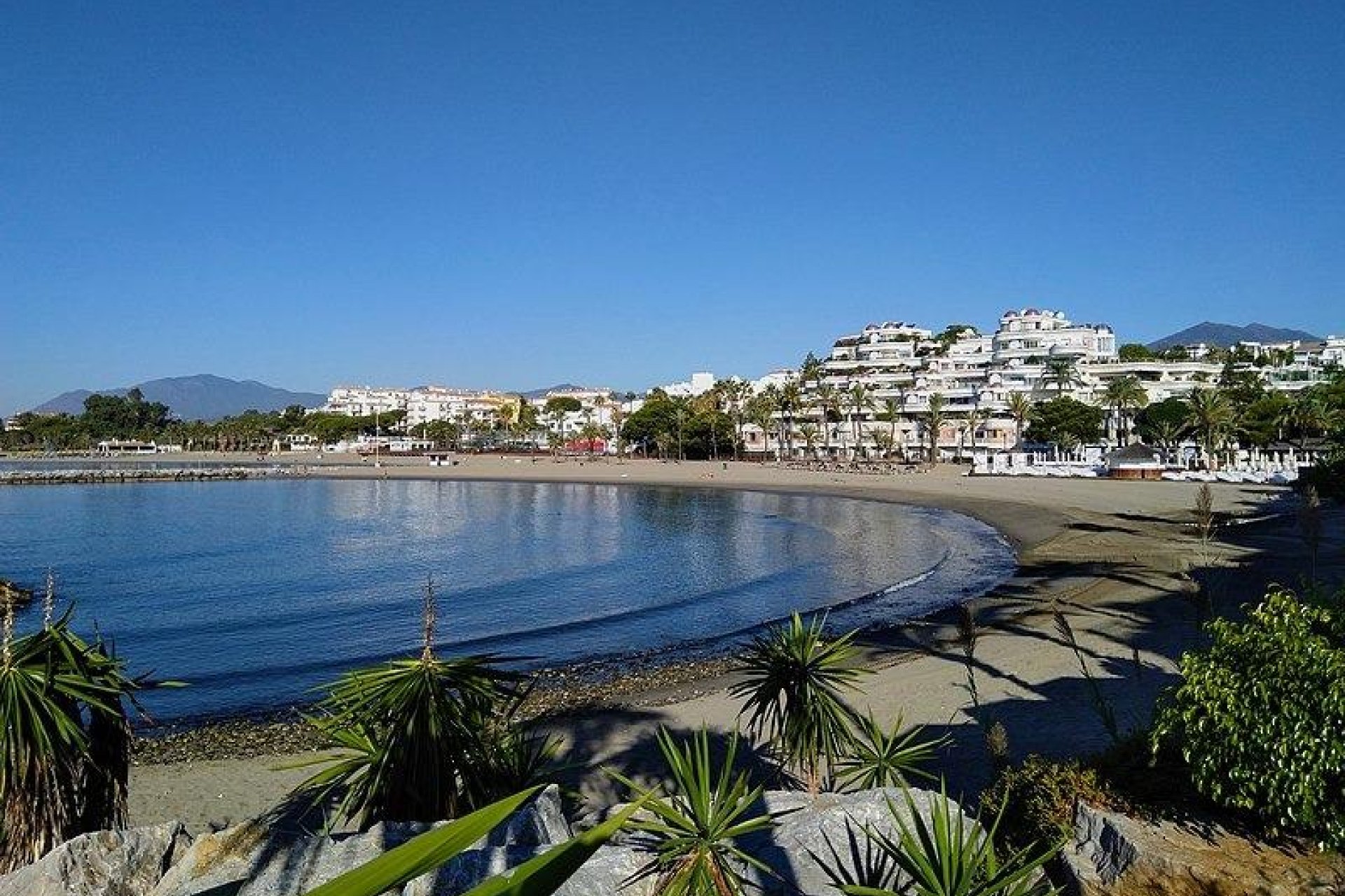 New Build - Apartment / flat - Marbella - Nueva Andalucia