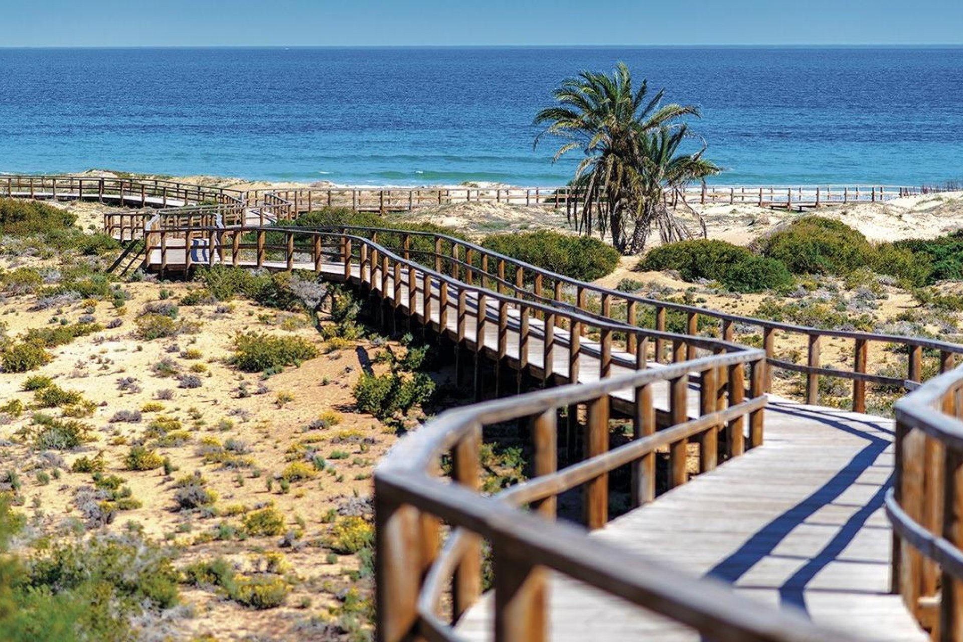 New Build - Apartment / Flat * - Monforte del Cid * - Alenda Golf *