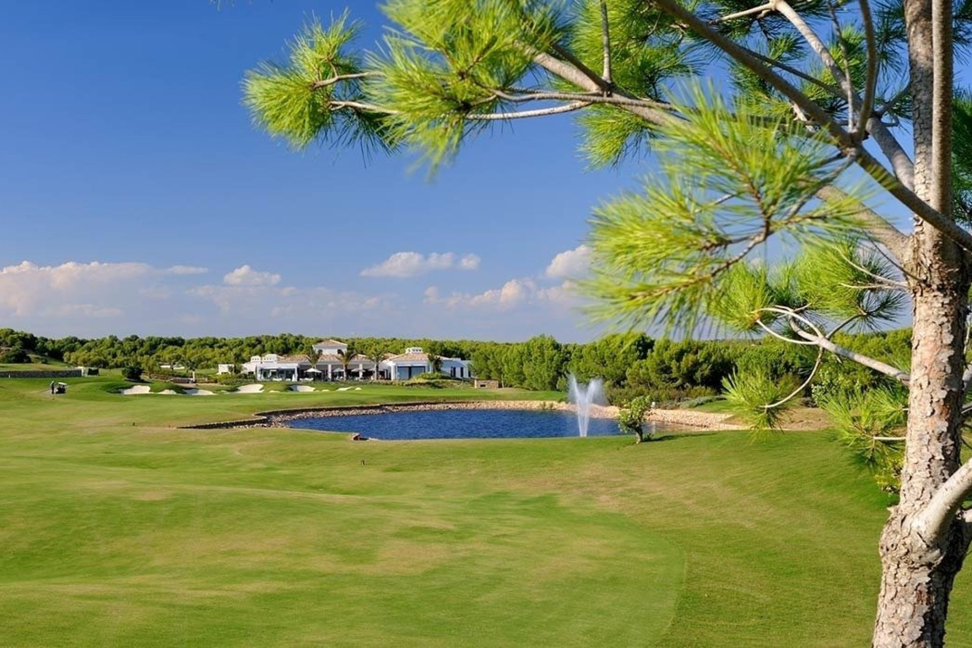 New Build - Apartment / flat - Orihuela - Las Colinas Golf Resort