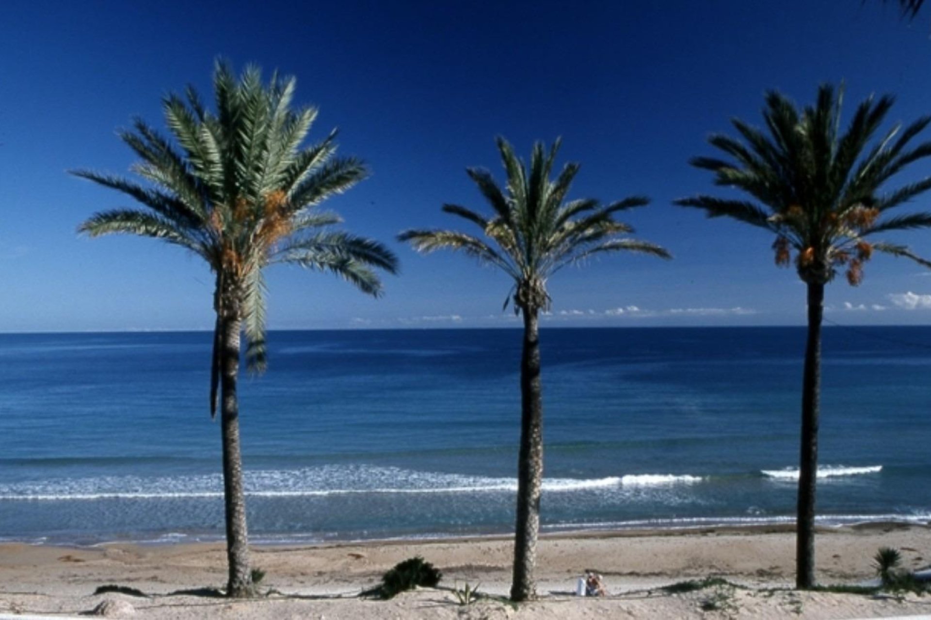 New Build - Apartment / Flat * - Pilar de la Horadada * - Parque Ramon eugenio Escudero